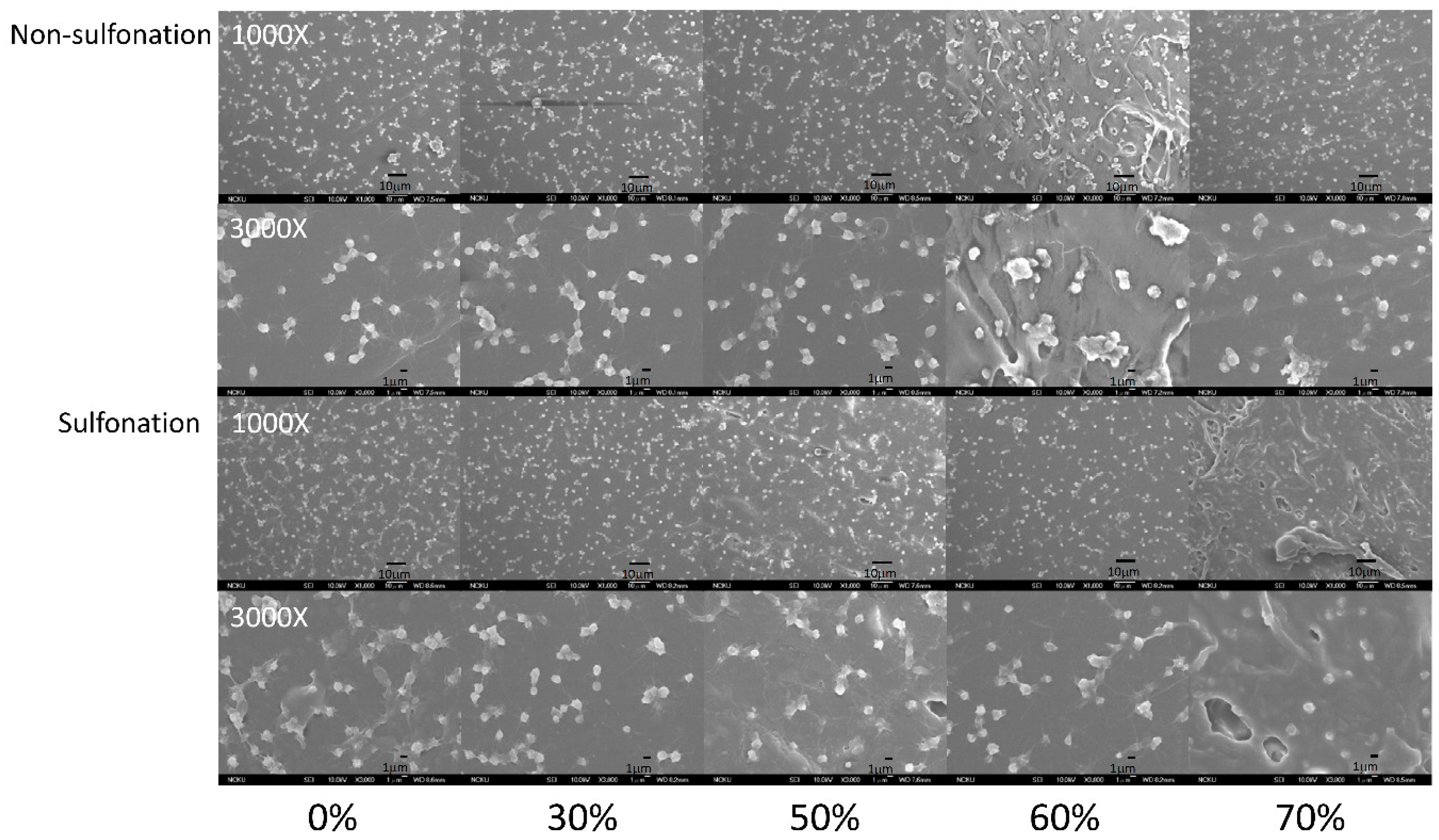 Polymers 12 01351 g007
