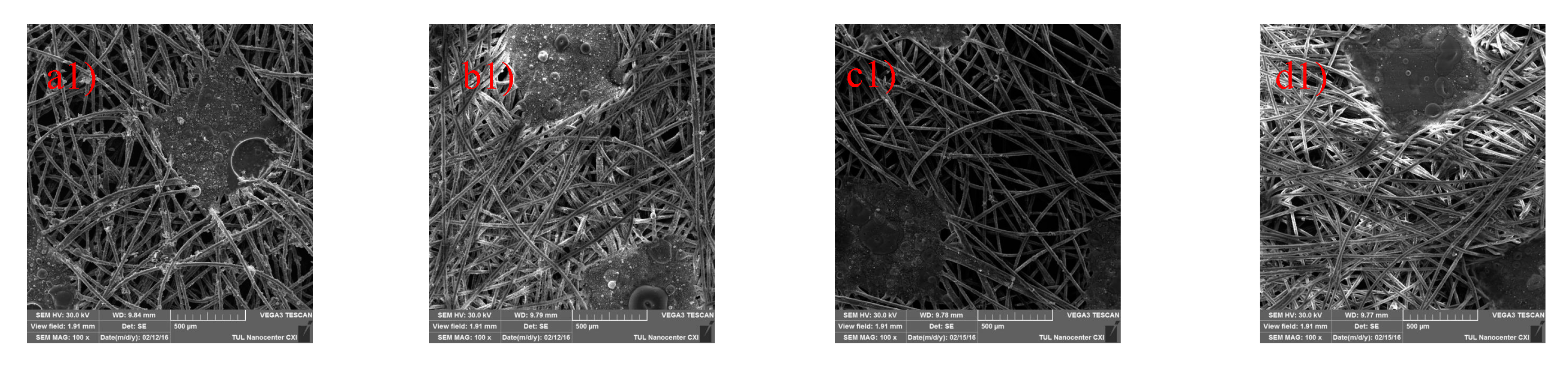 Polymers 12 01352 g005a Polymers 12 01352 g005a