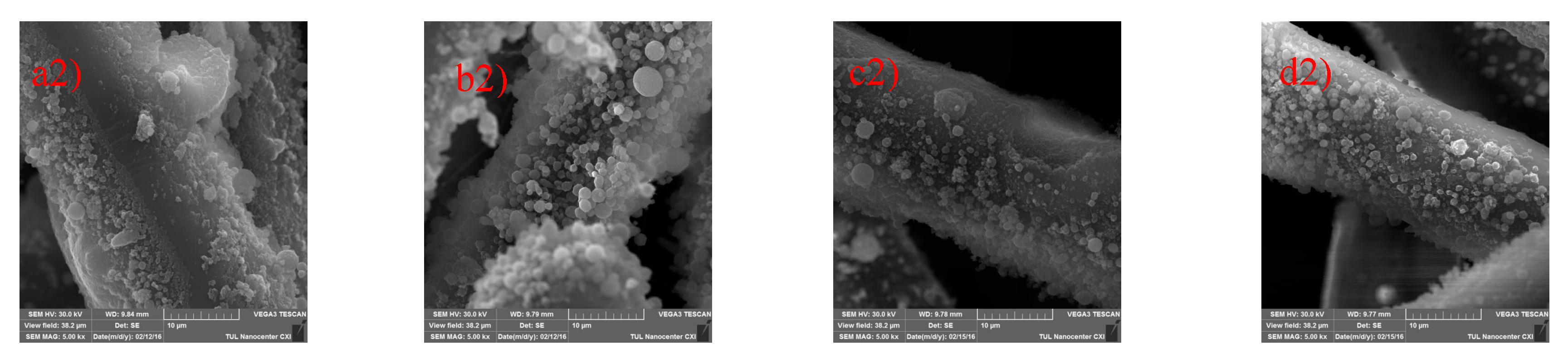 Polymers 12 01352 g005b Polymers 12 01352 g005b