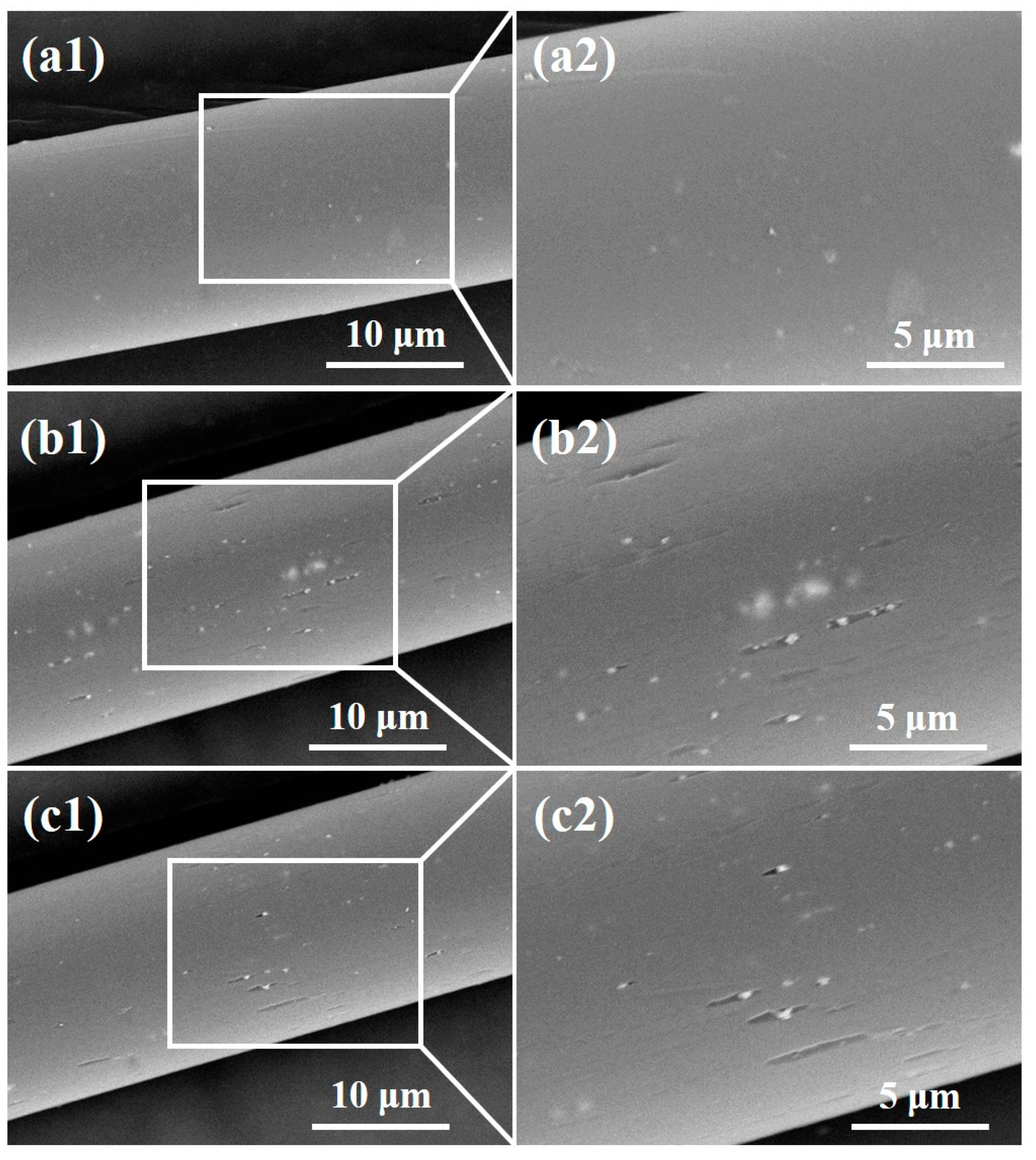 Polymers 12 01360 g004