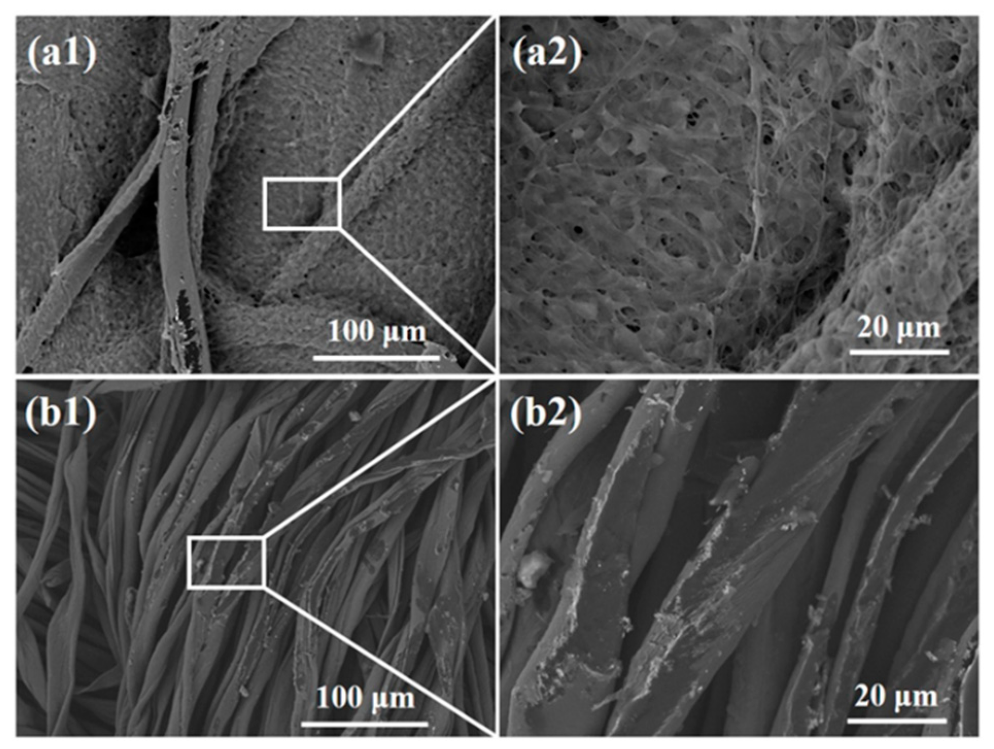 Polymers 12 01360 g011