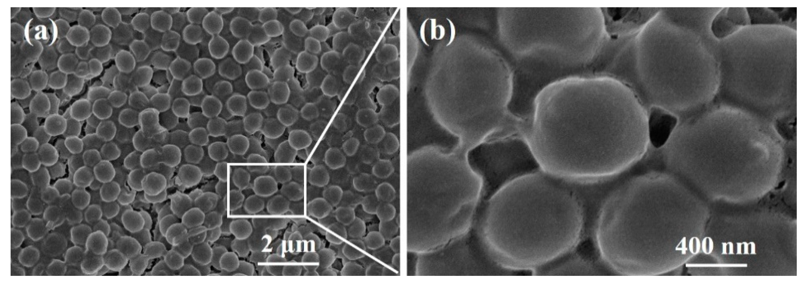 Polymers 12 01360 g014
