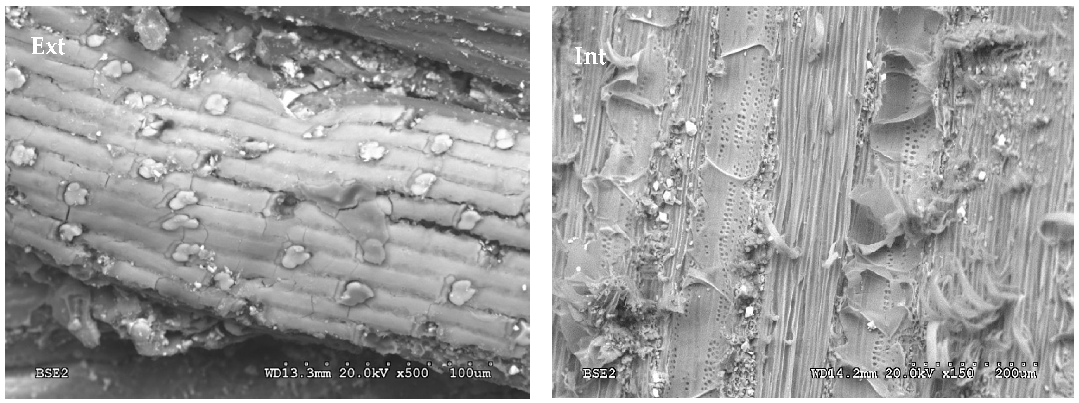 Polymers 12 01361 g003