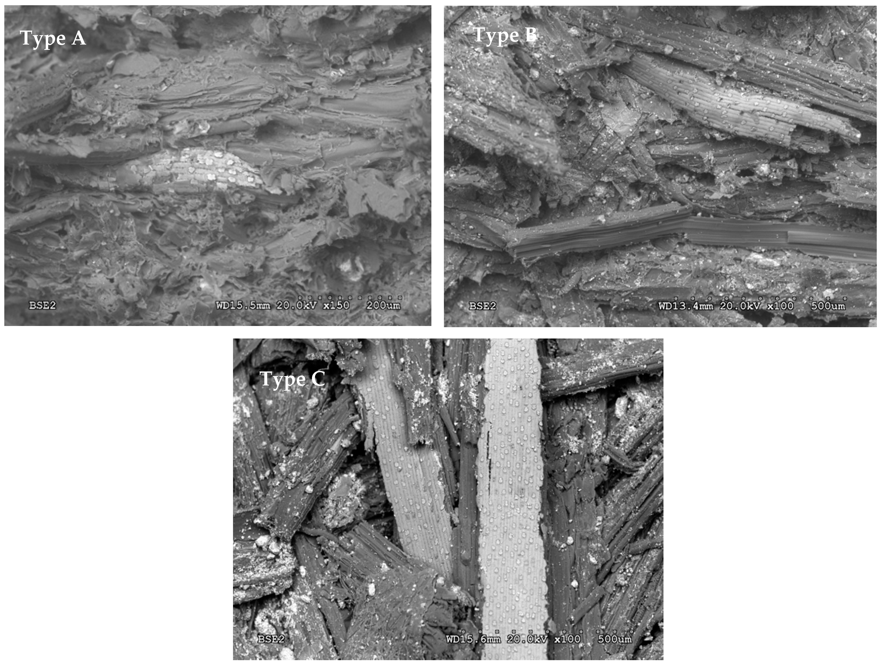 Polymers 12 01361 g004