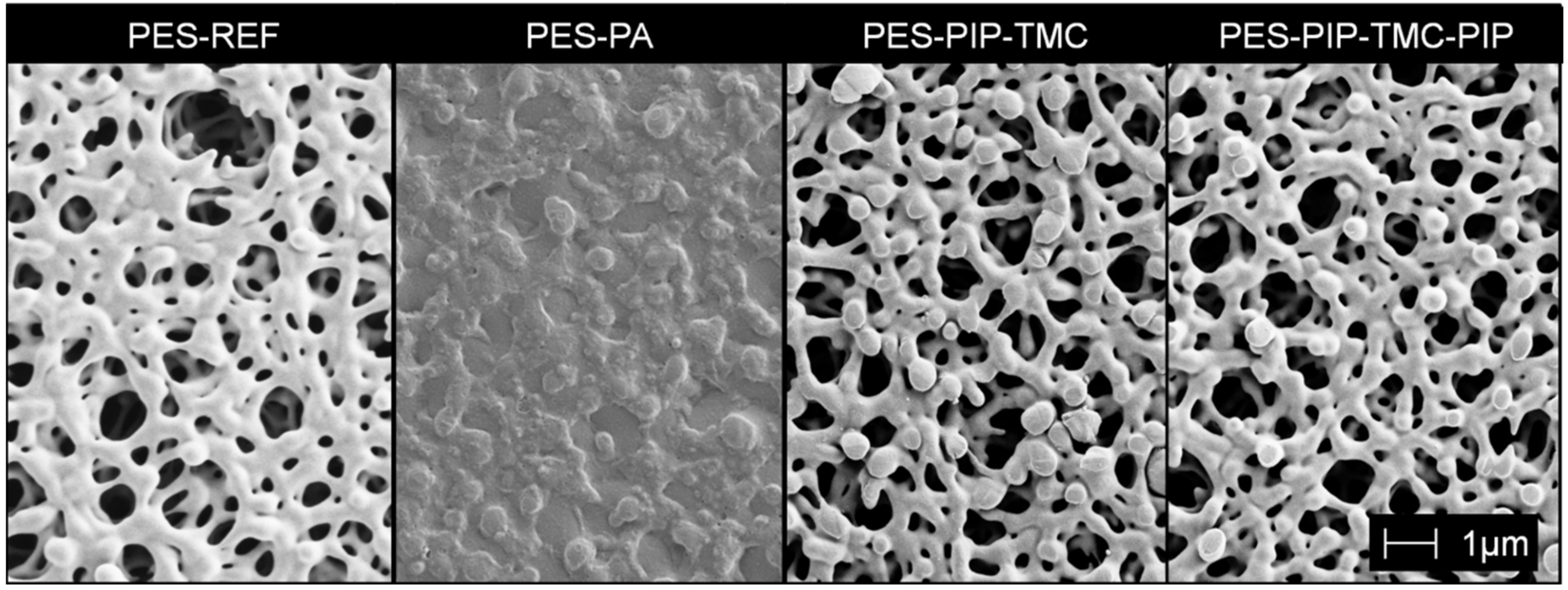 Polymers 12 01379 g003