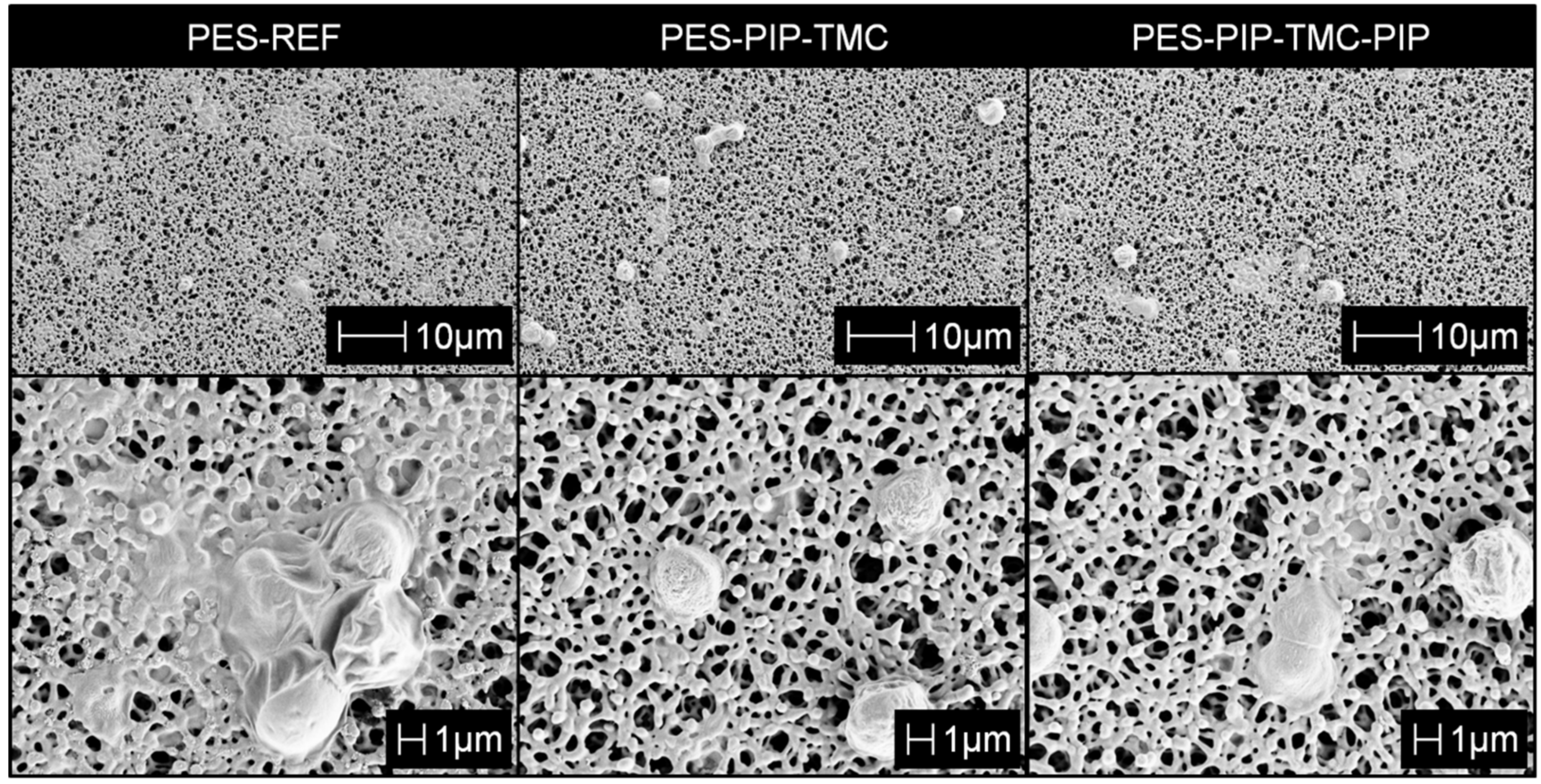 Polymers 12 01379 g005