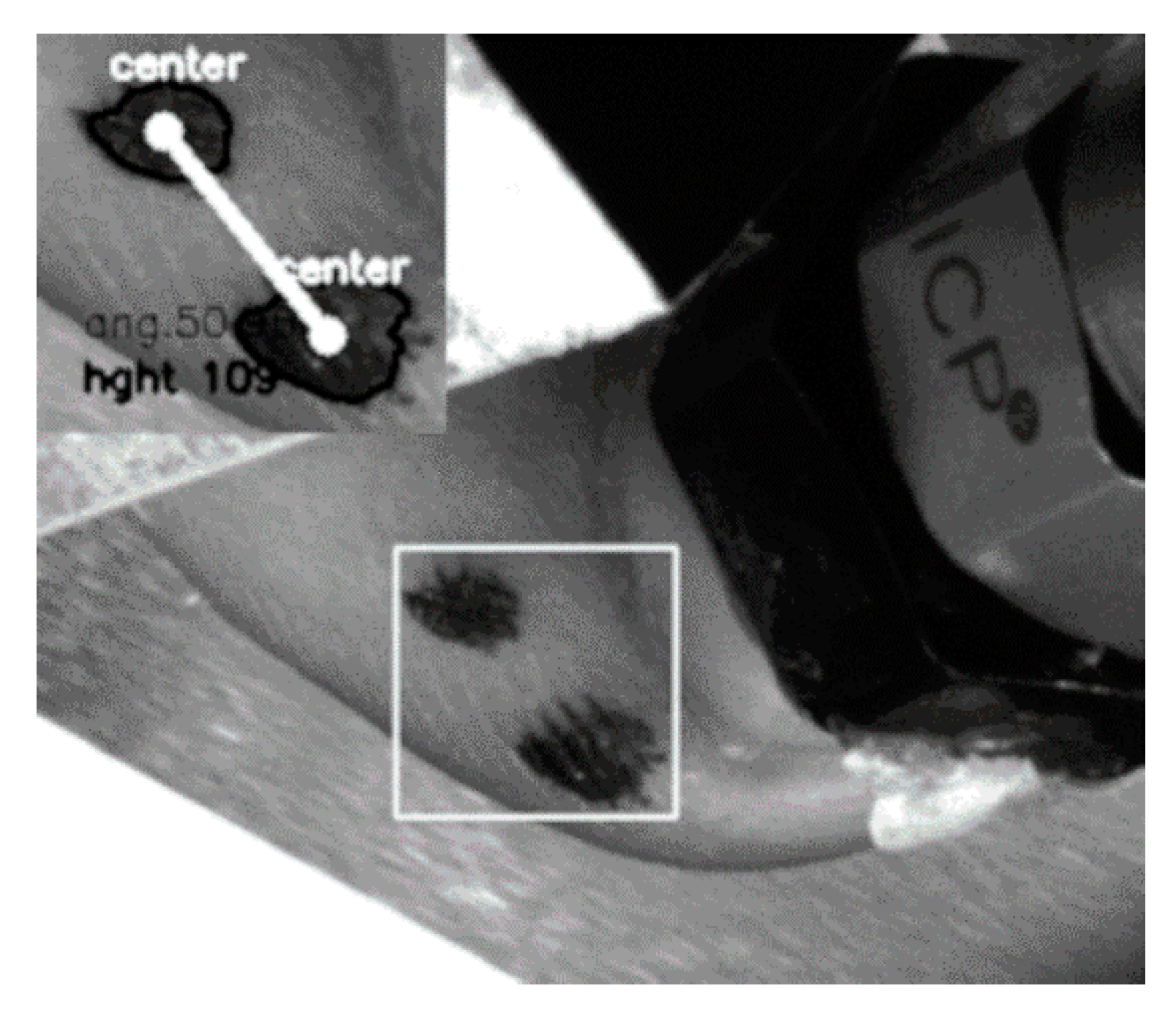 Polymers 12 01380 g002