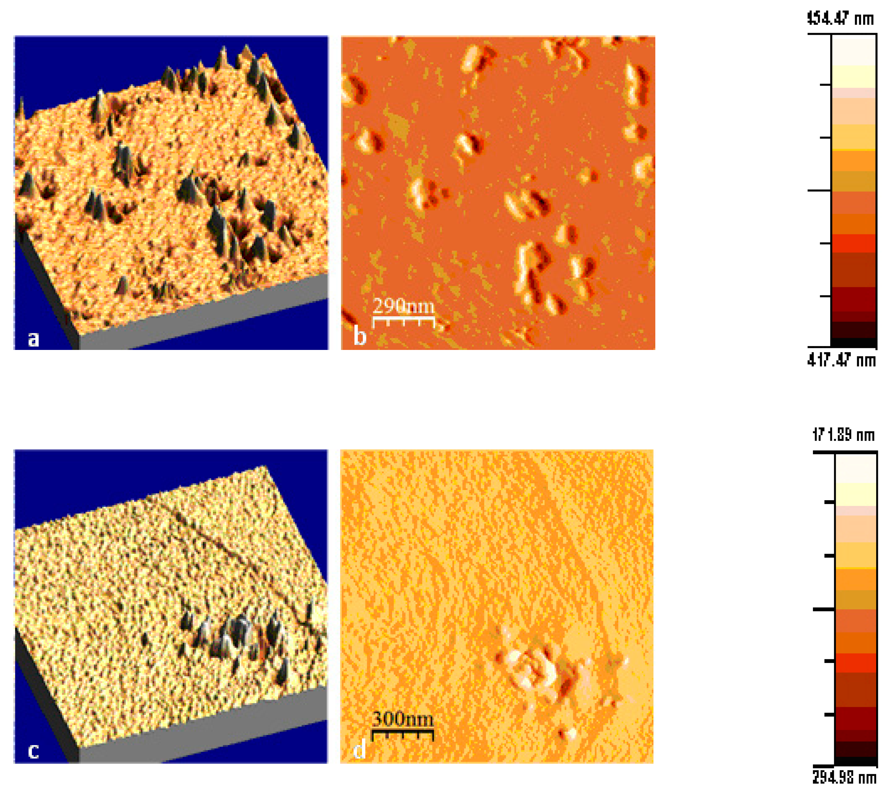 Polymers 12 01381 g003