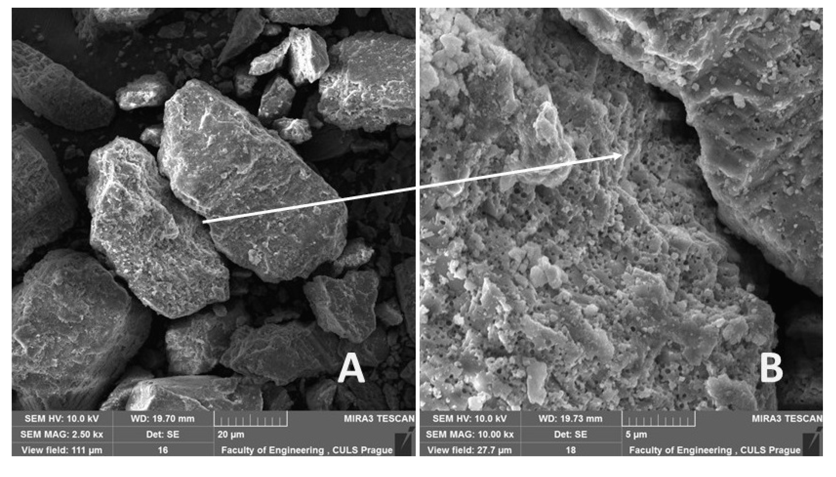 Polymers 12 01391 g002 Polymers 12 01391 g002