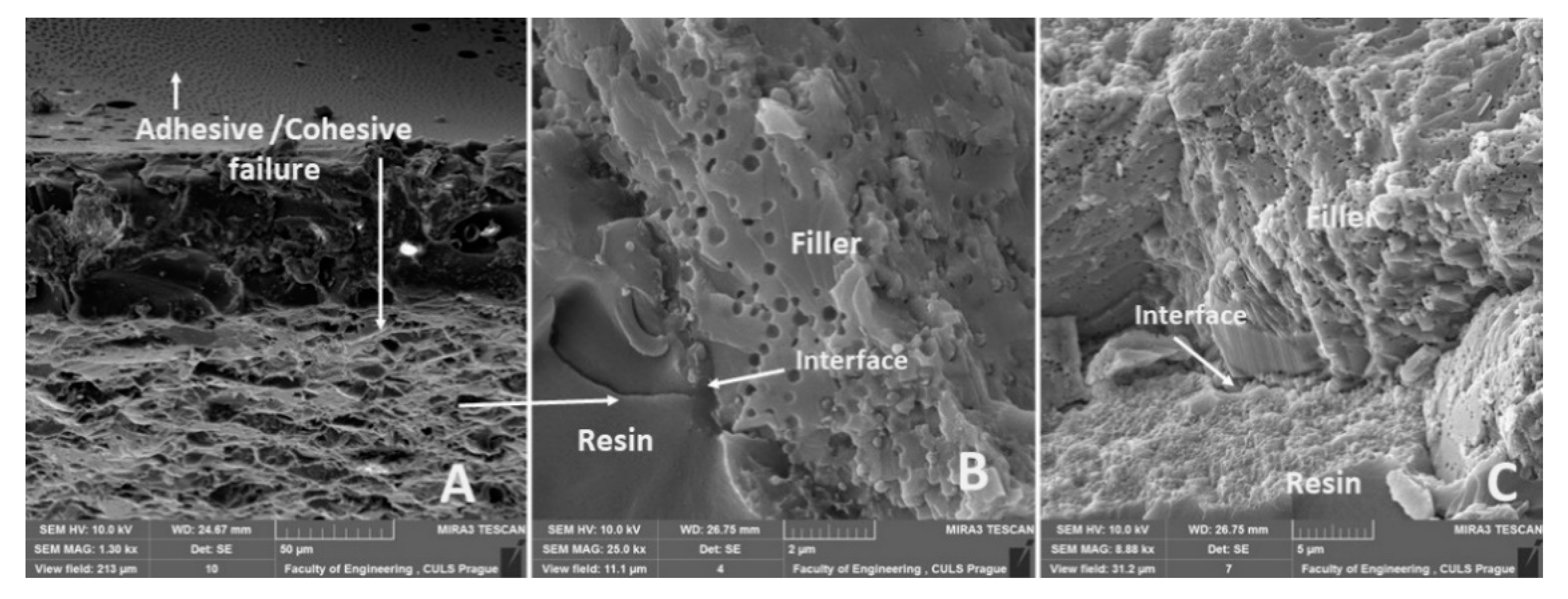 Polymers 12 01391 g018 Polymers 12 01391 g018