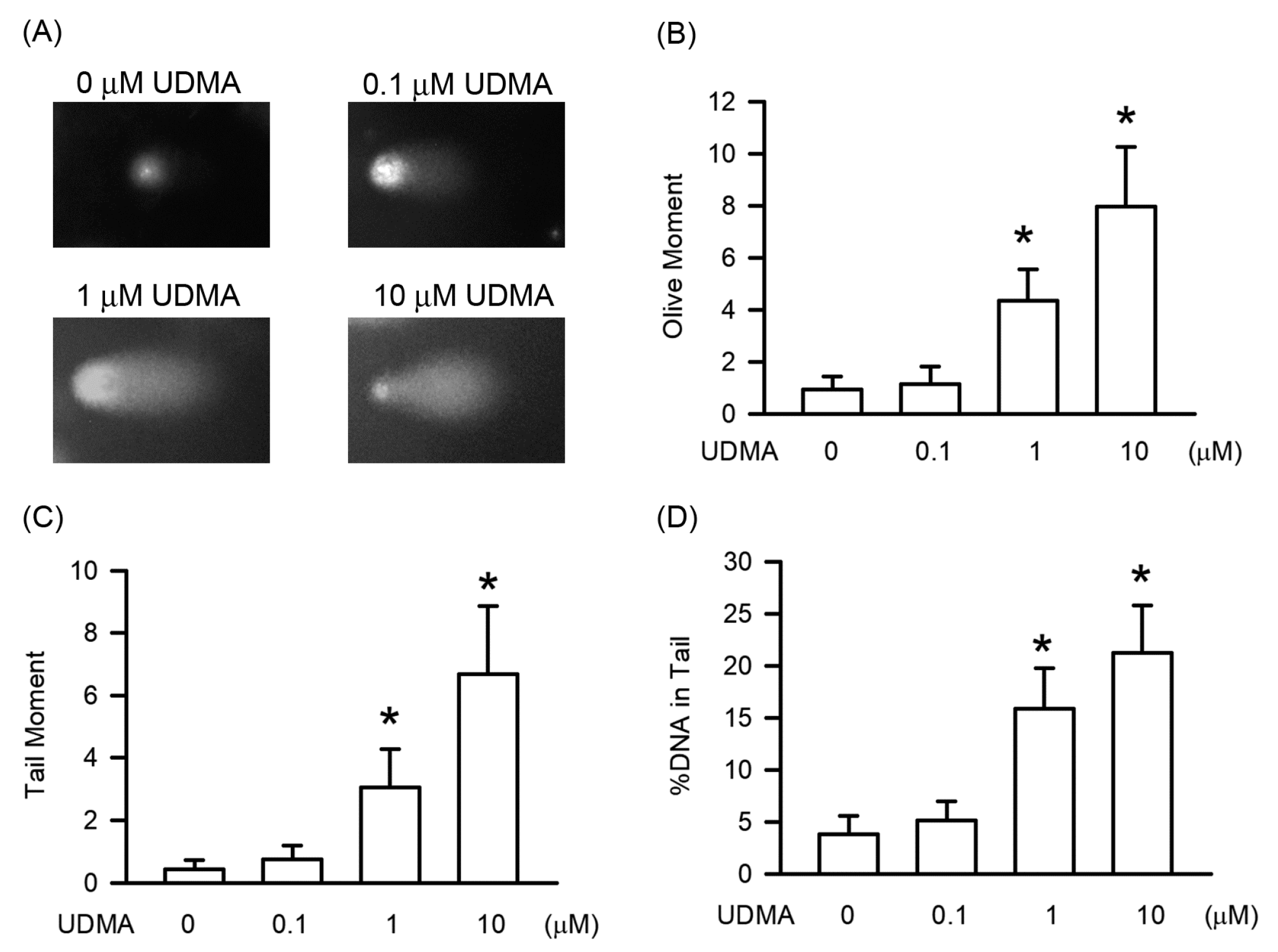 Polymers 12 01398 g004