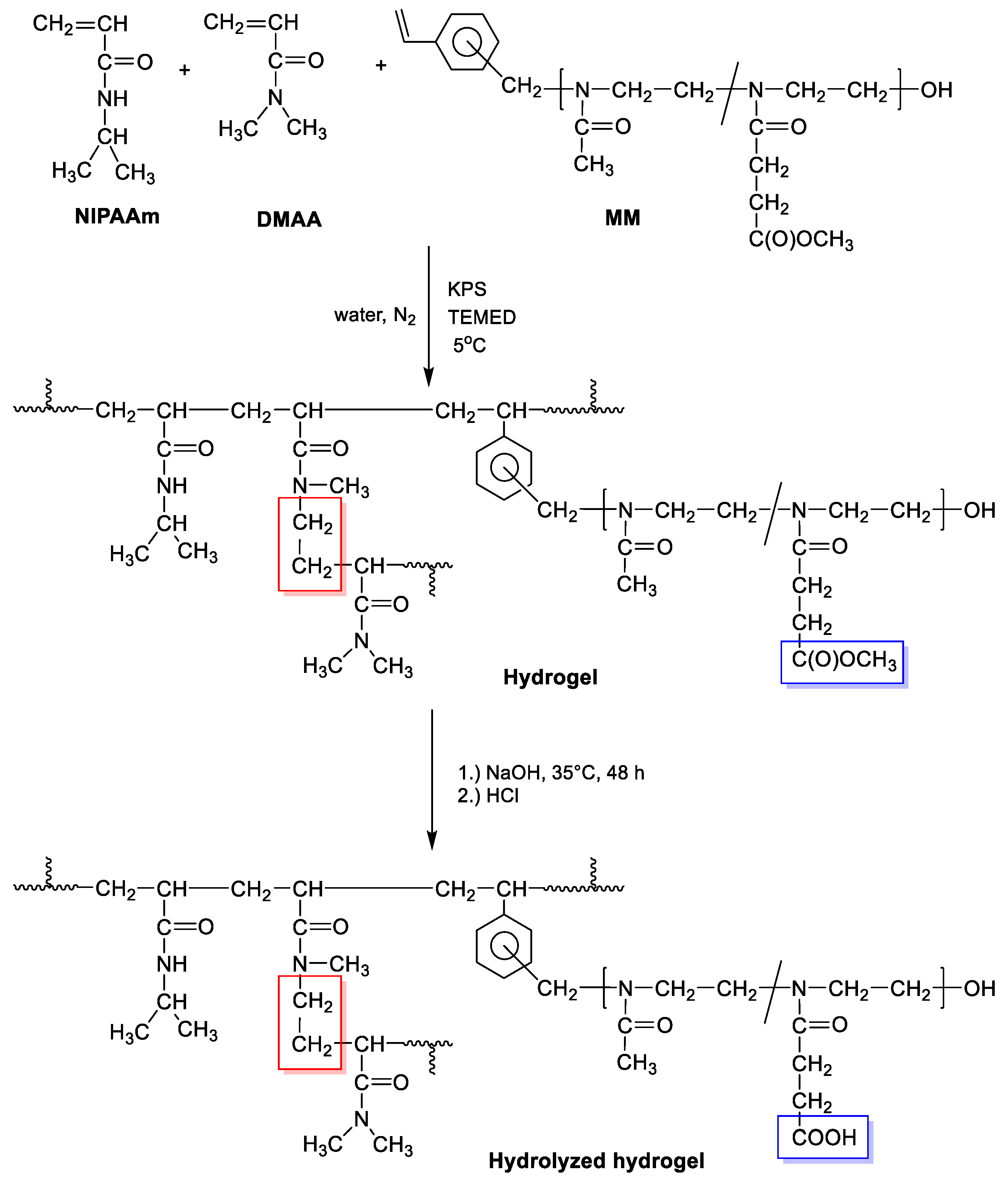Polymers 12 01401 sch002 Polymers 12 01401 sch002