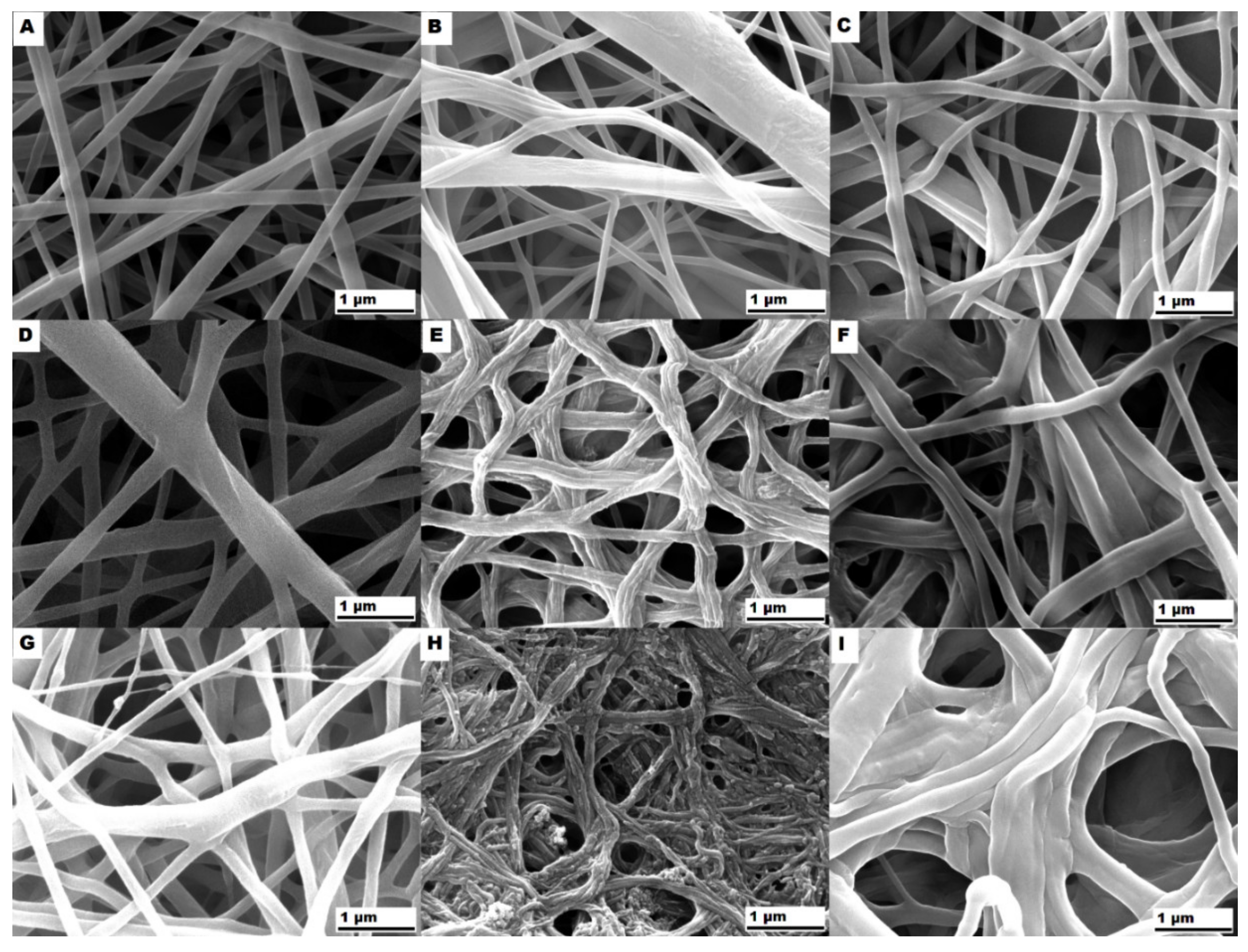 Polymers 12 01403 g005