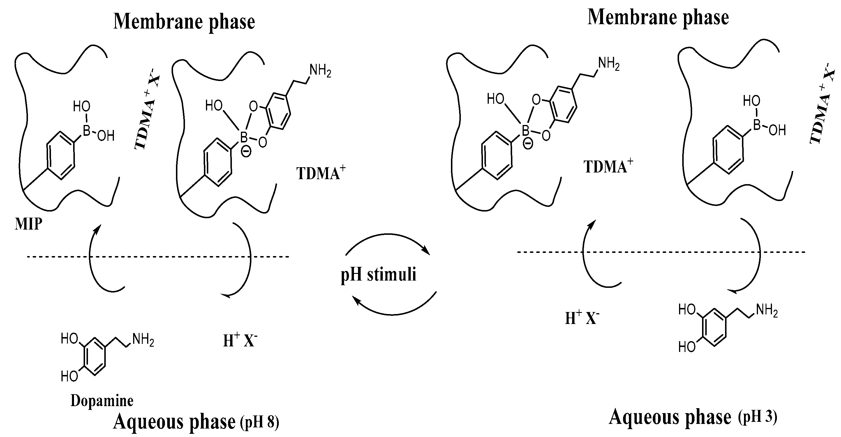 Polymers 12 01406 g003 Polymers 12 01406 g003