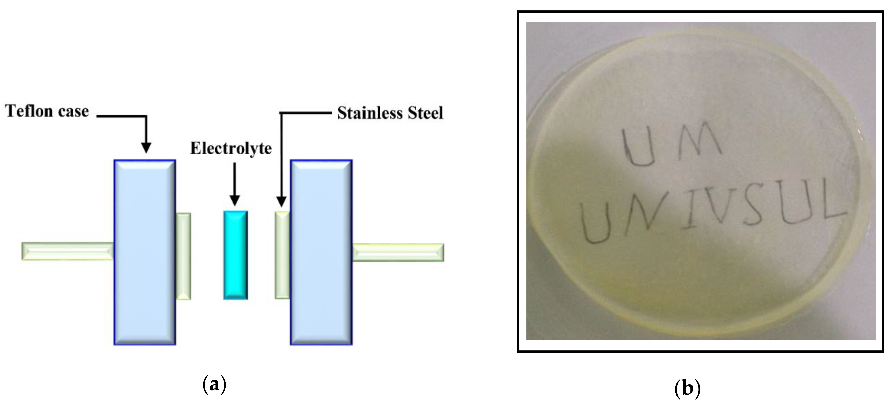 Polymers 12 01411 g001