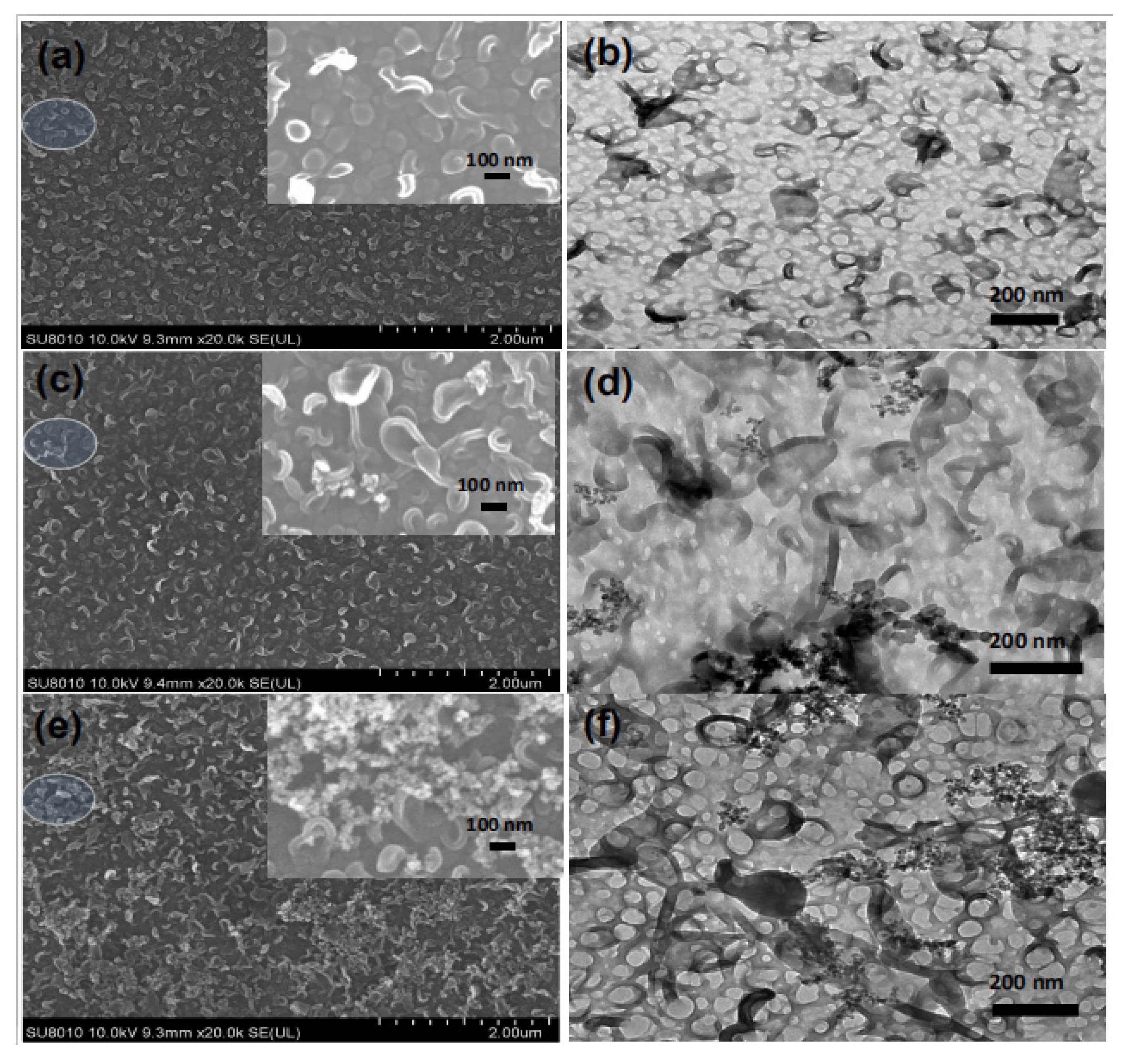 Polymers 12 01415 g004