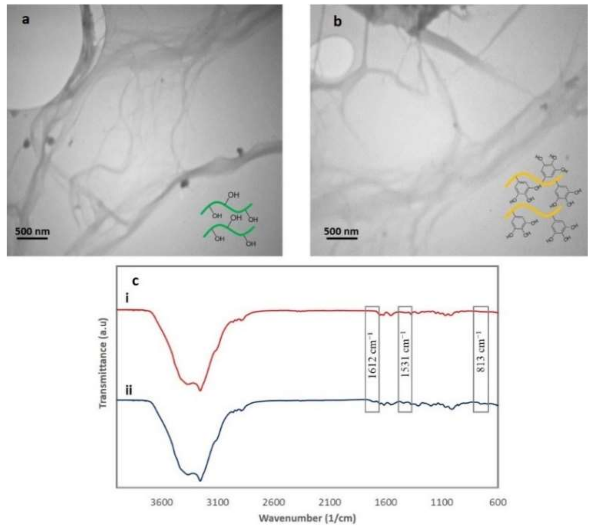 Polymers 12 01416 g001