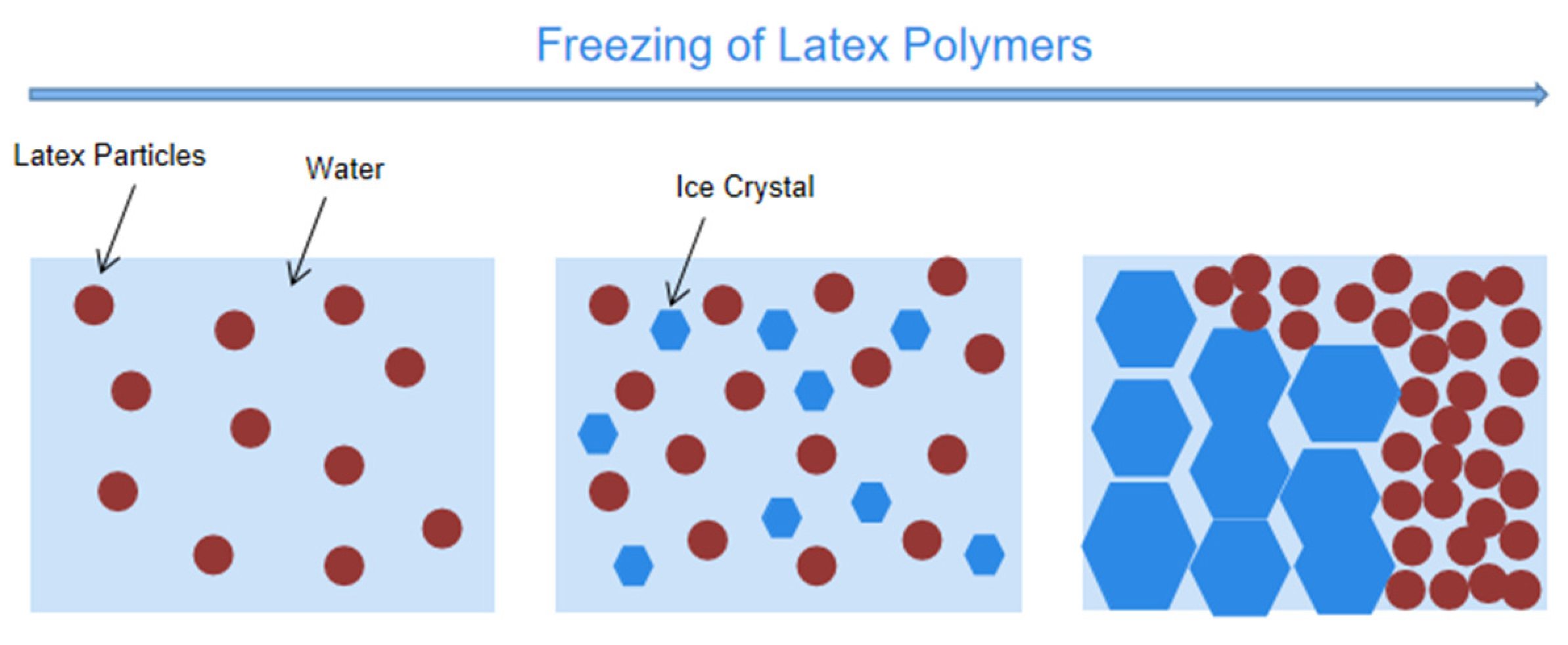 Polymers 12 01417 g005