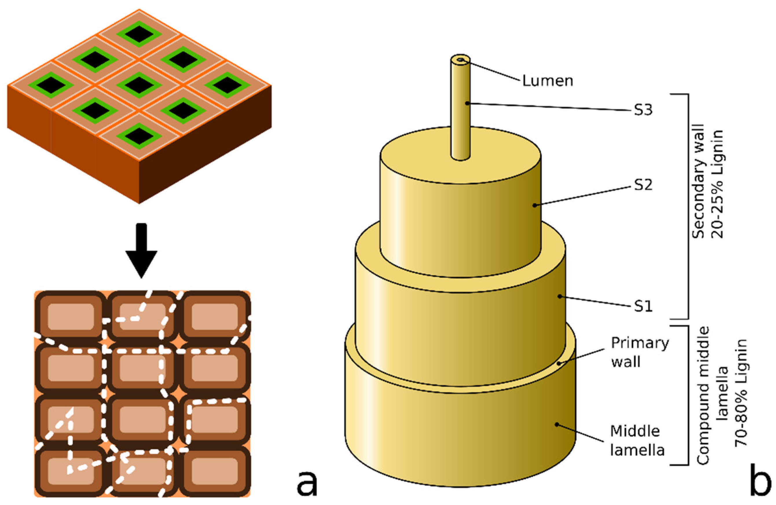 Polymers 12 01423 g003