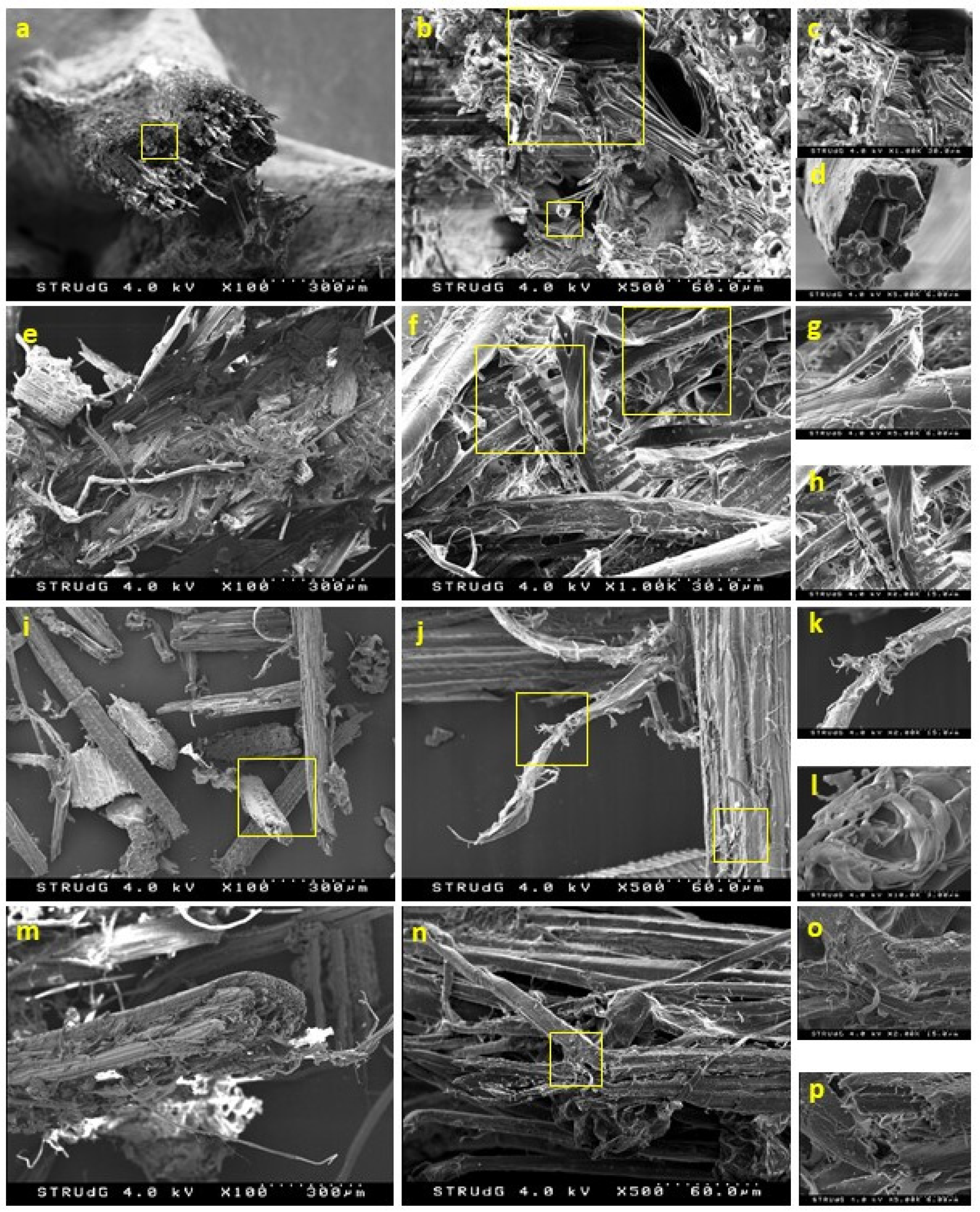 Polymers 12 01423 g006