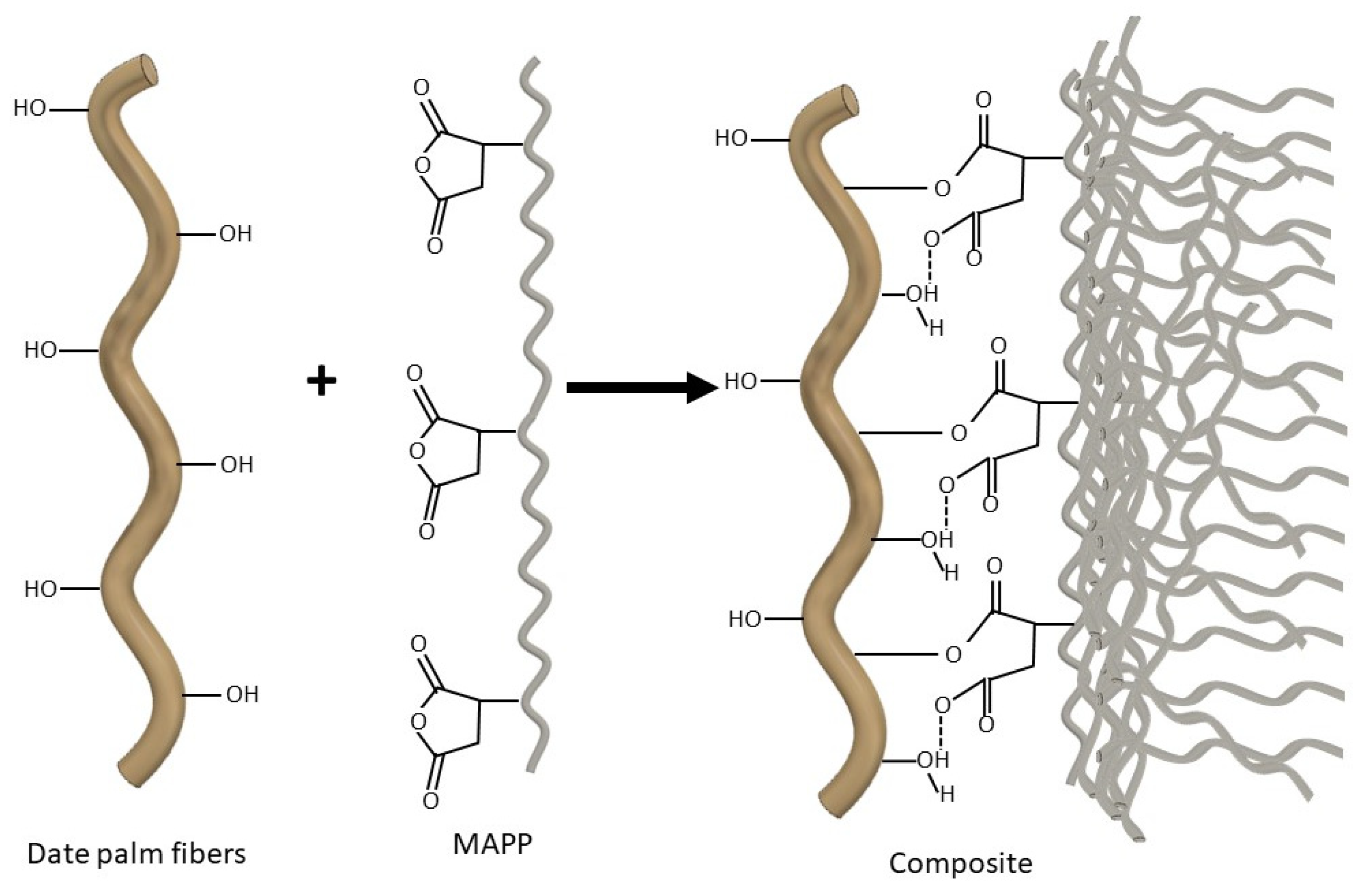 Polymers 12 01423 g008