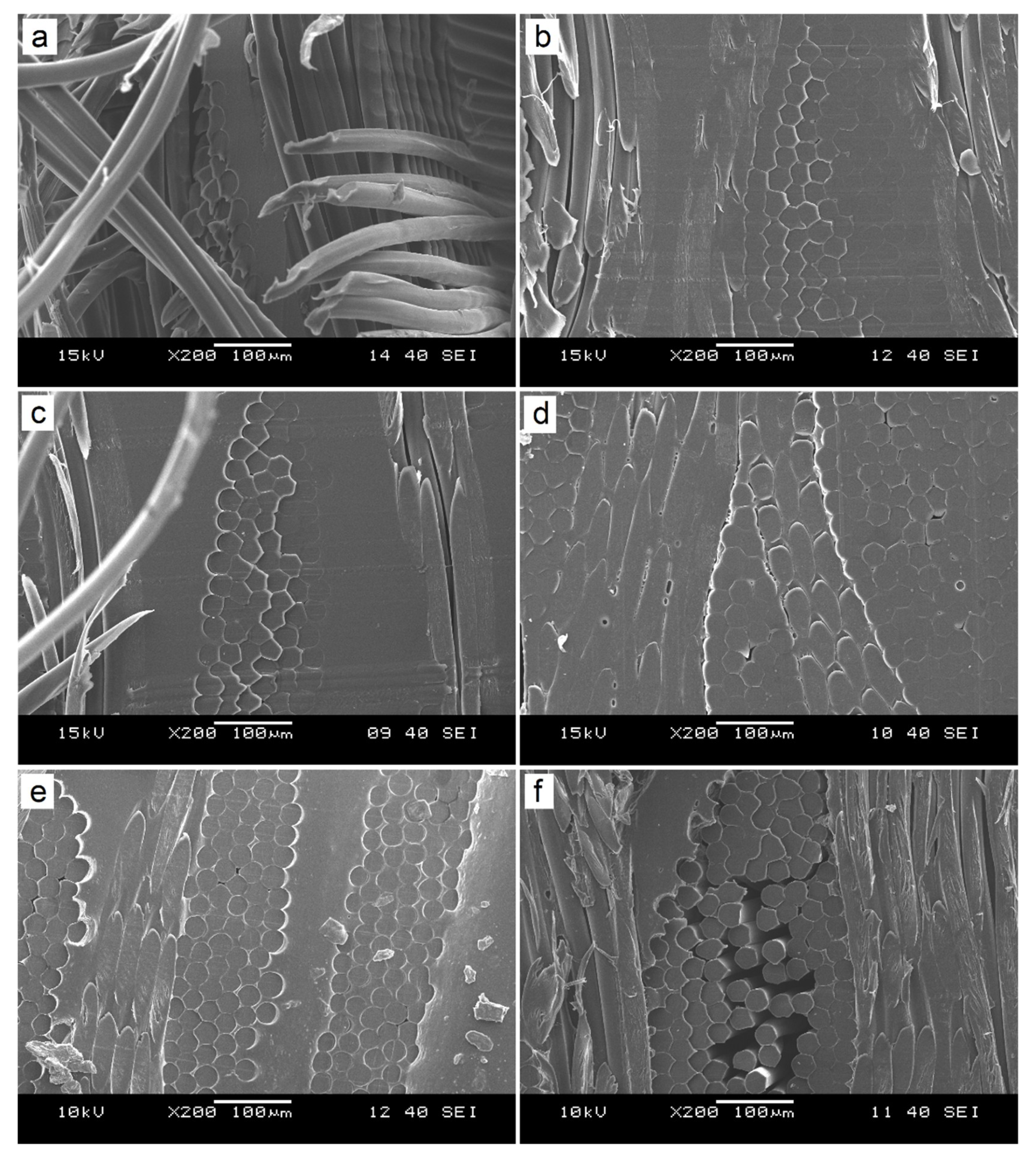 Polymers 12 01429 g005