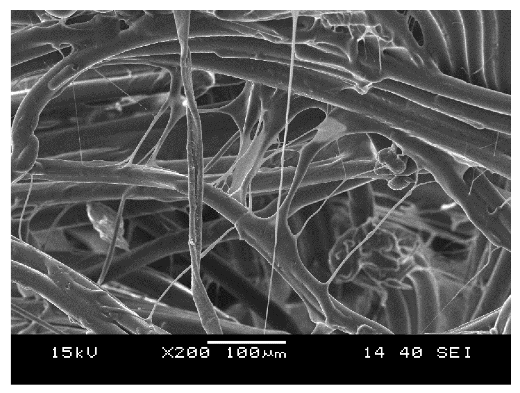 Polymers 12 01429 g006