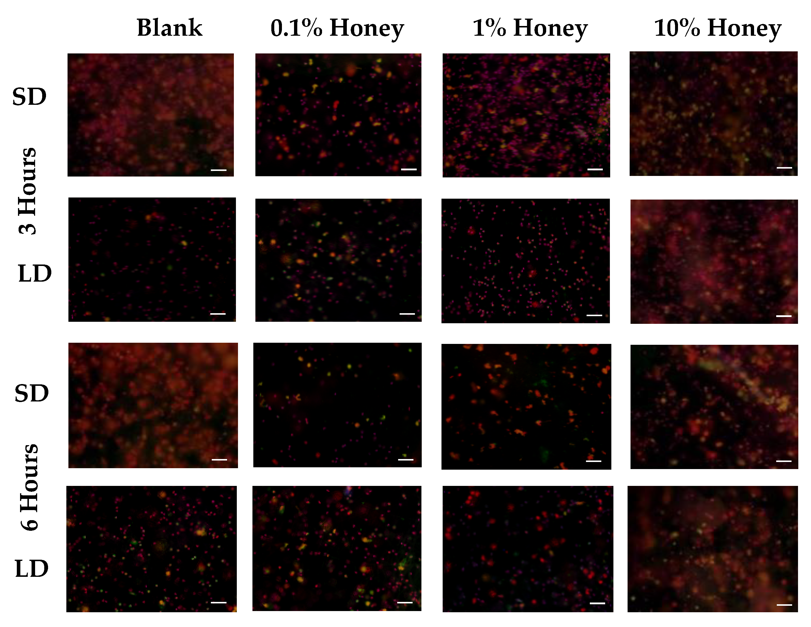 Polymers 12 01430 g004