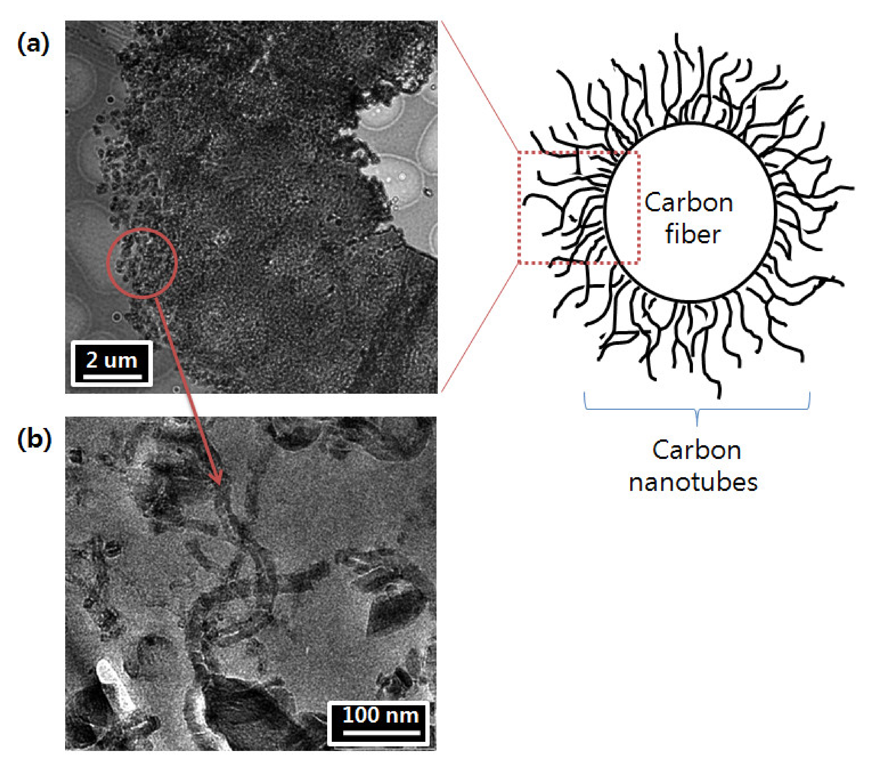 Polymers 12 01432 g004 Polymers 12 01432 g004