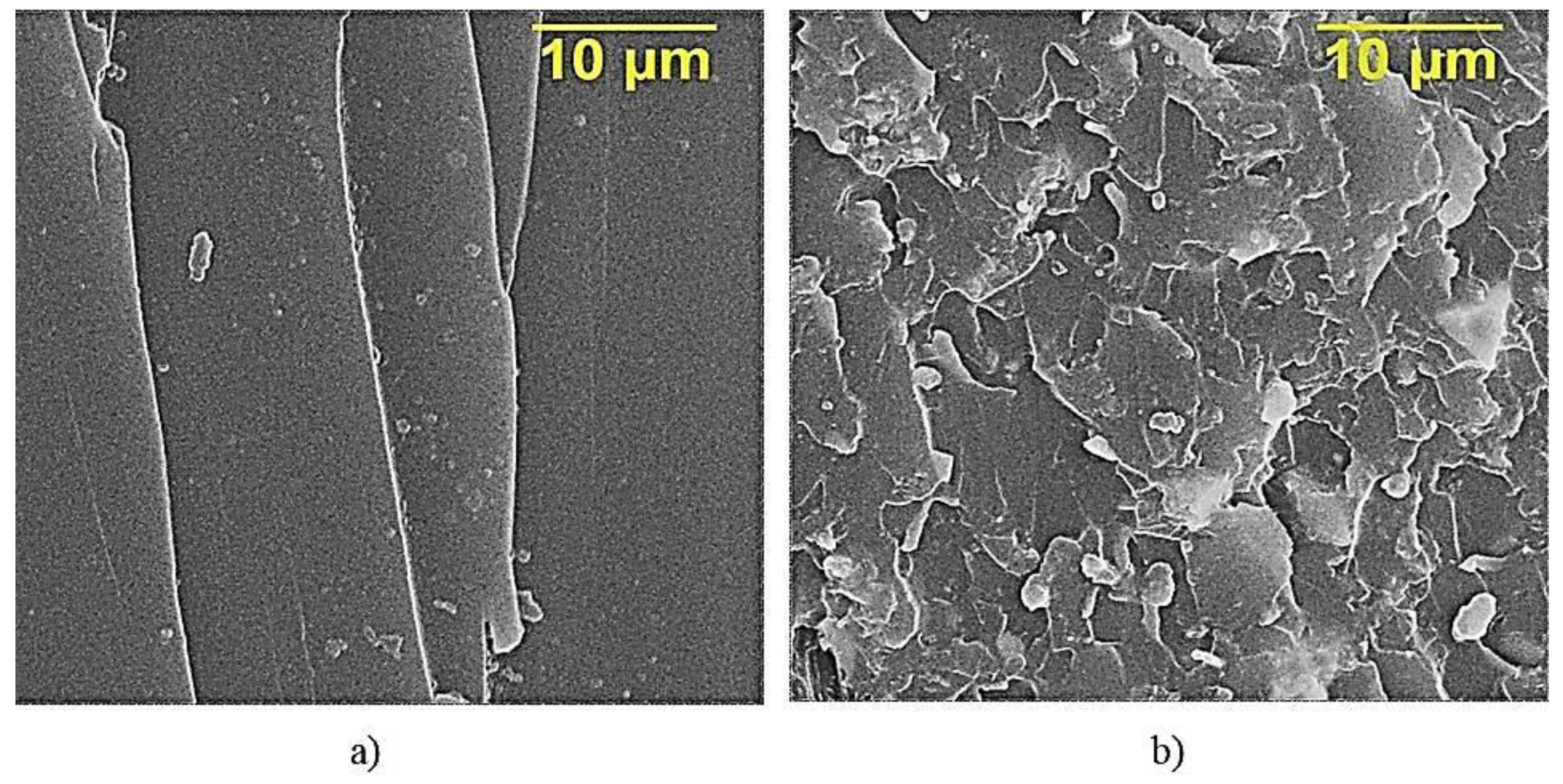 Polymers 12 01437 g007