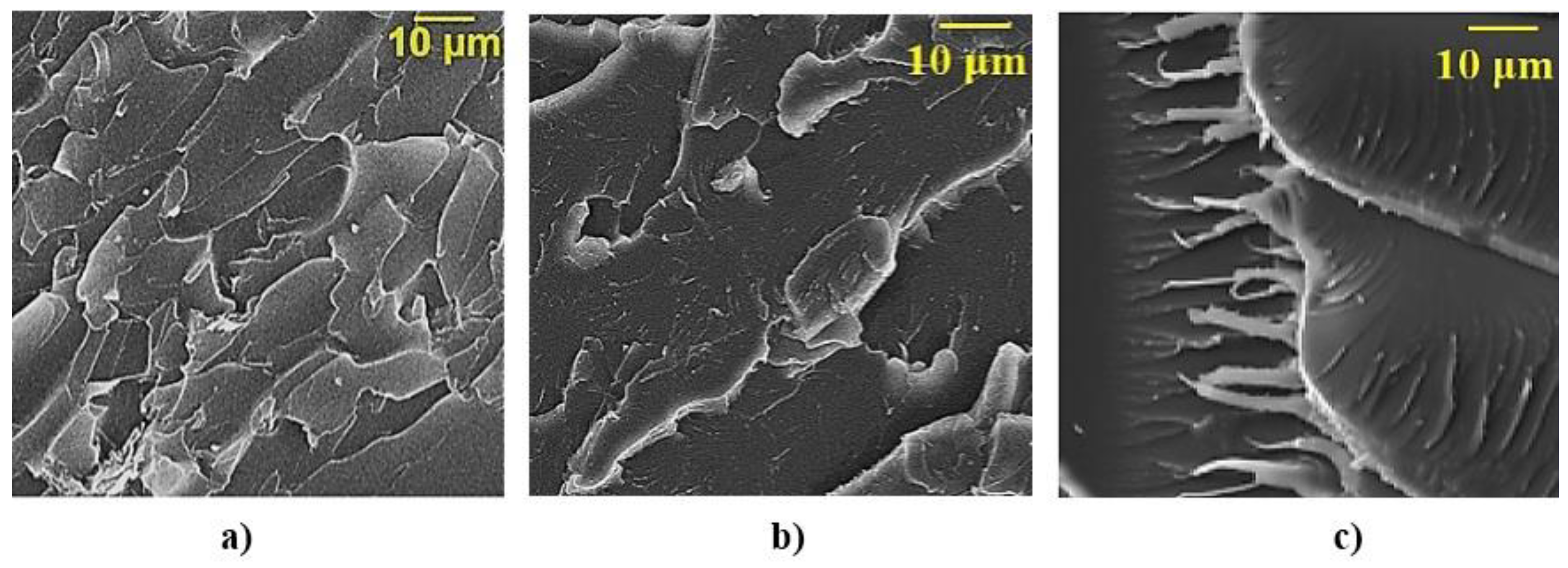 Polymers 12 01437 g010