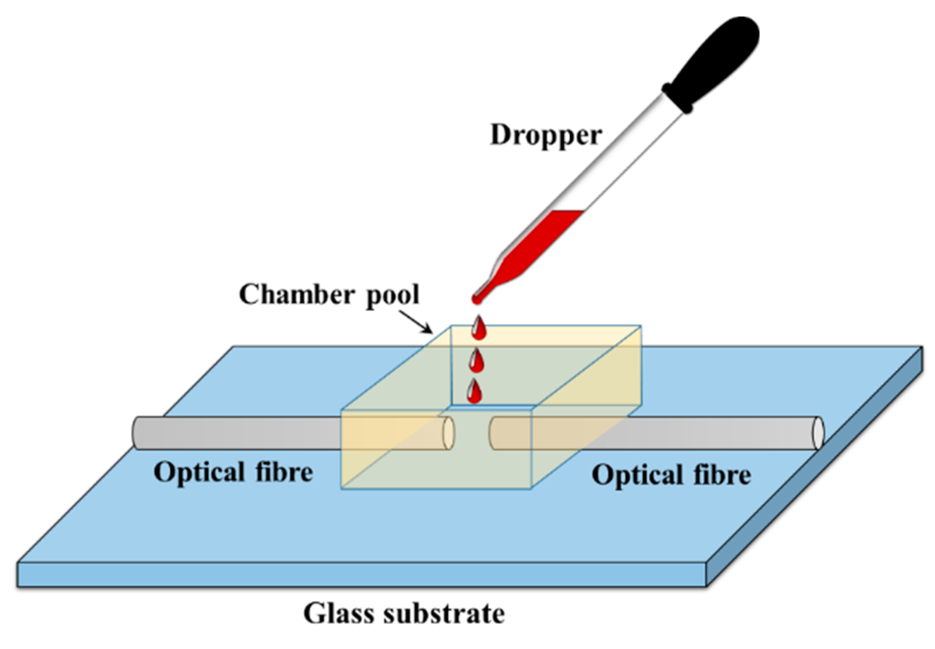 Polymers 12 01438 g002