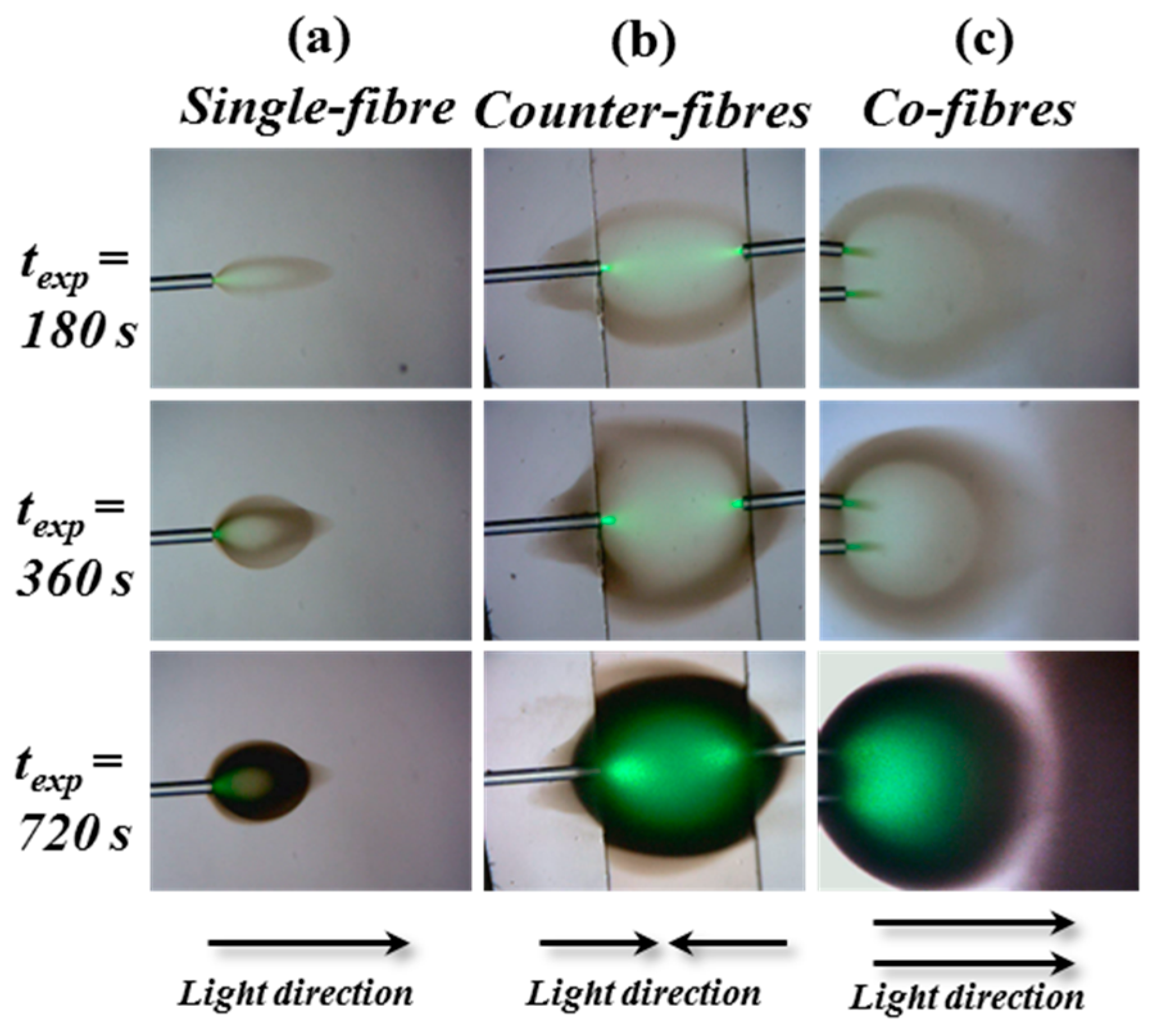 Polymers 12 01438 g003