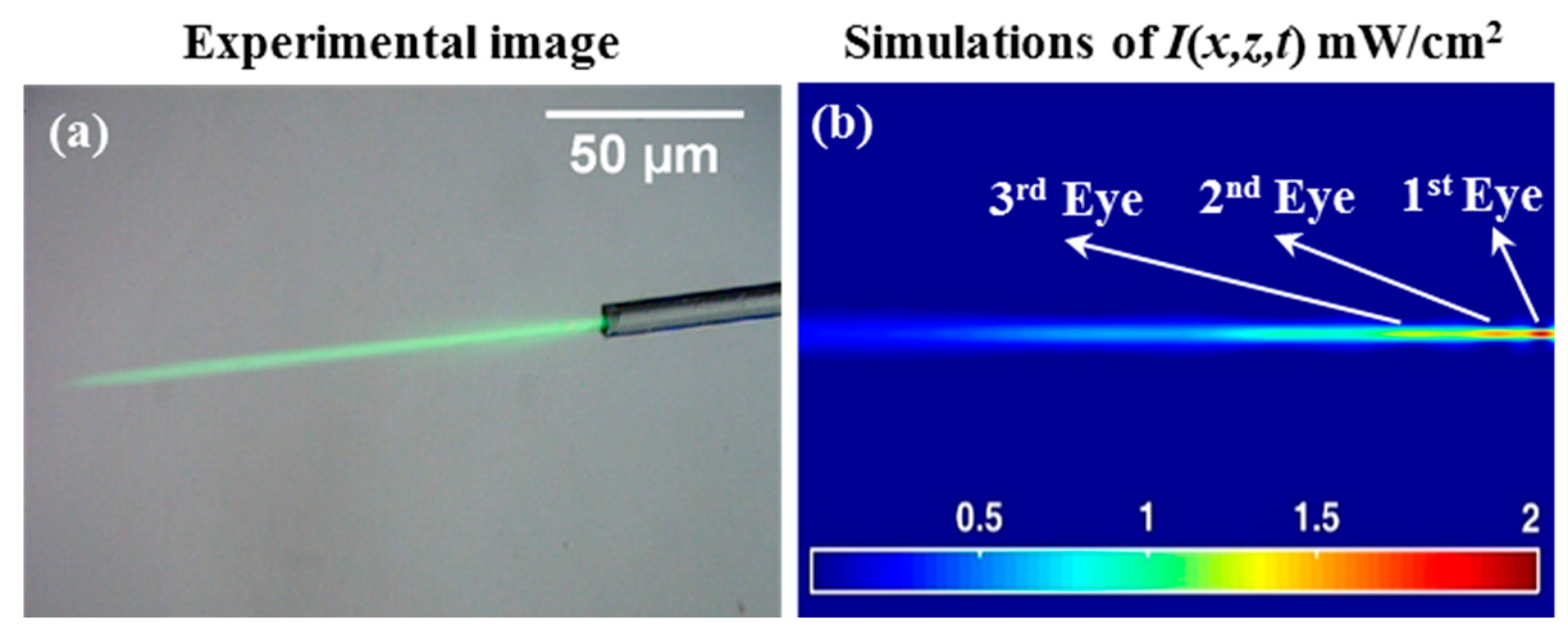 Polymers 12 01438 g004
