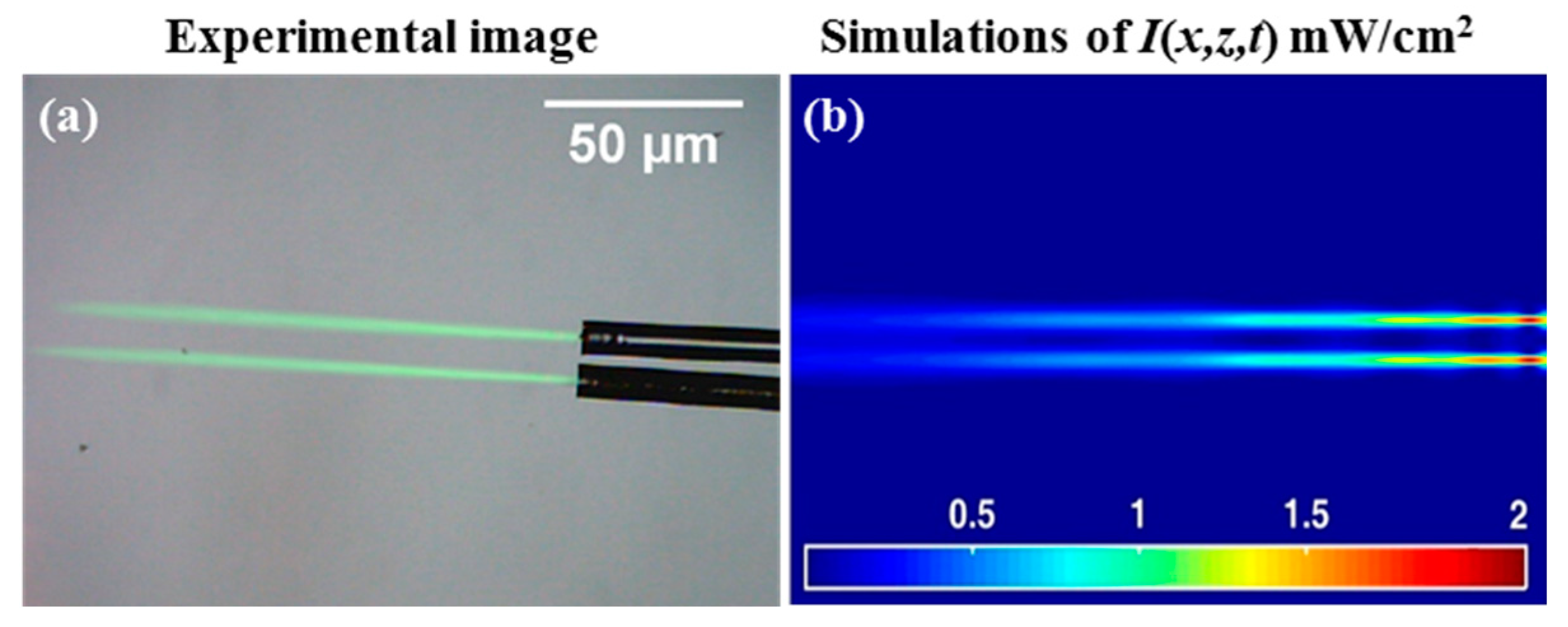 Polymers 12 01438 g005
