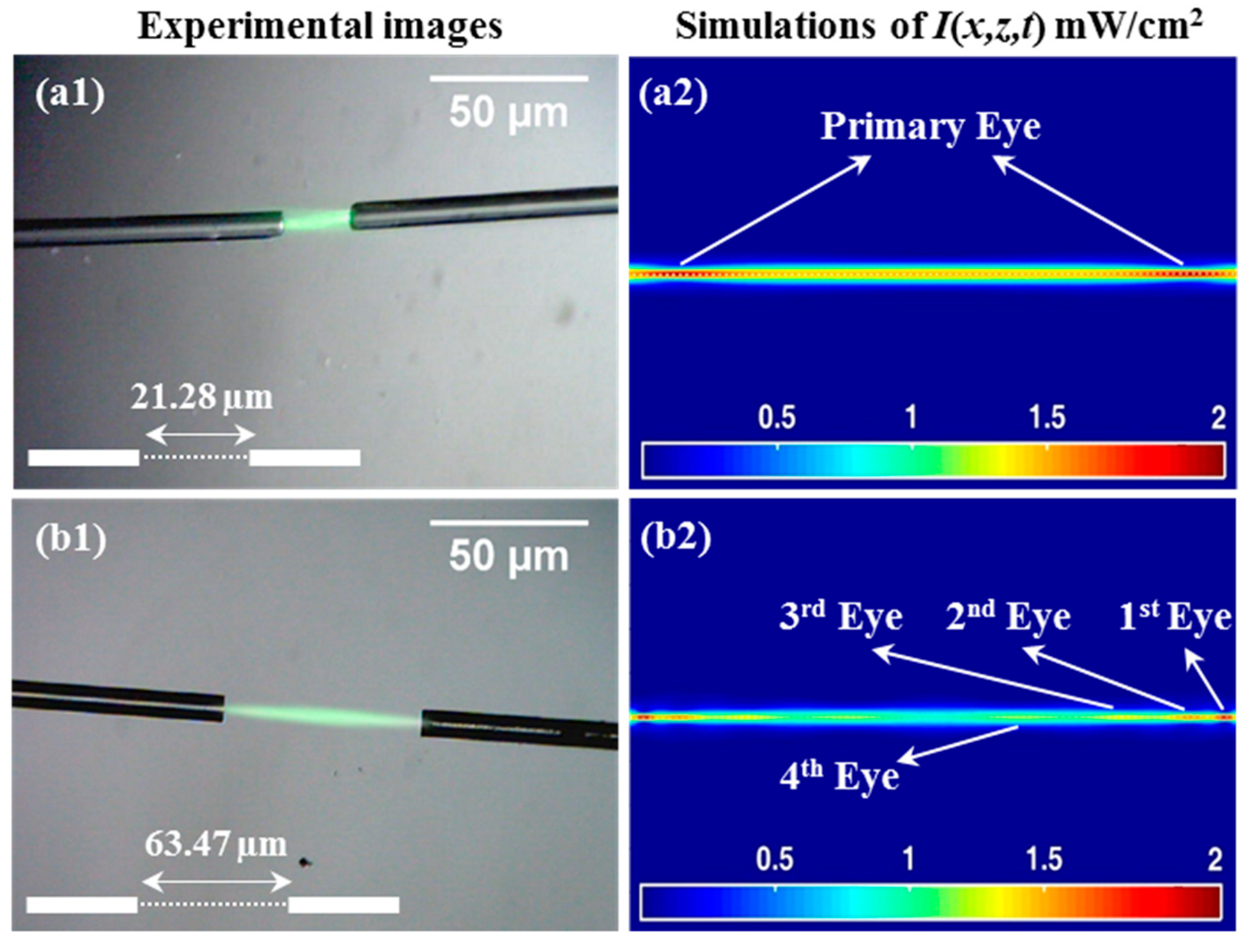 Polymers 12 01438 g006