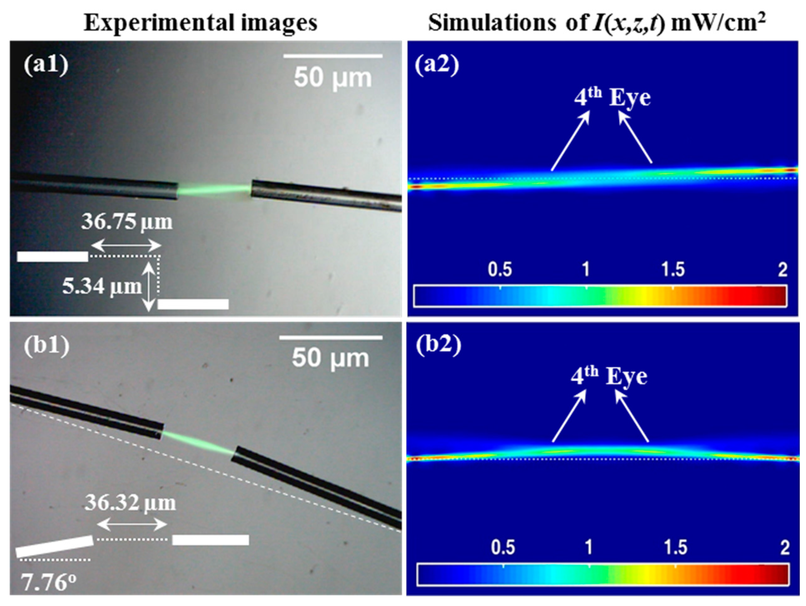 Polymers 12 01438 g007