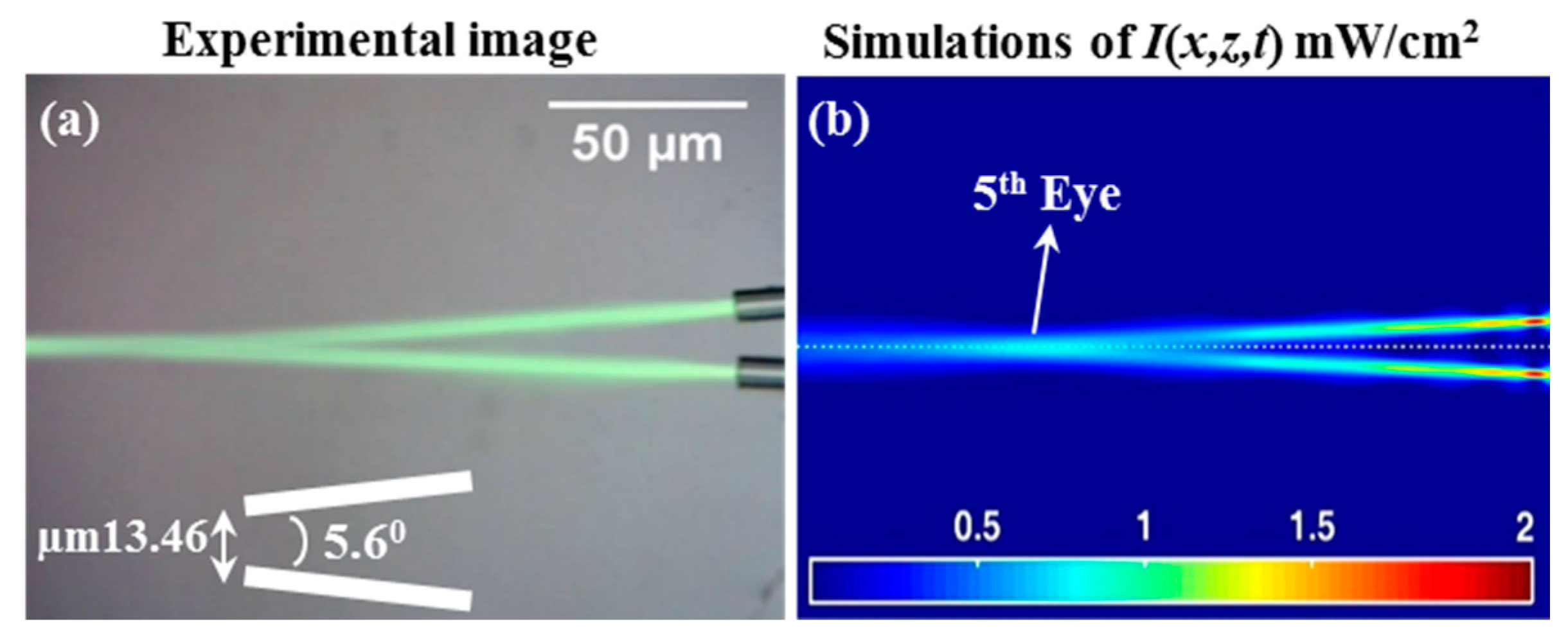 Polymers 12 01438 g008