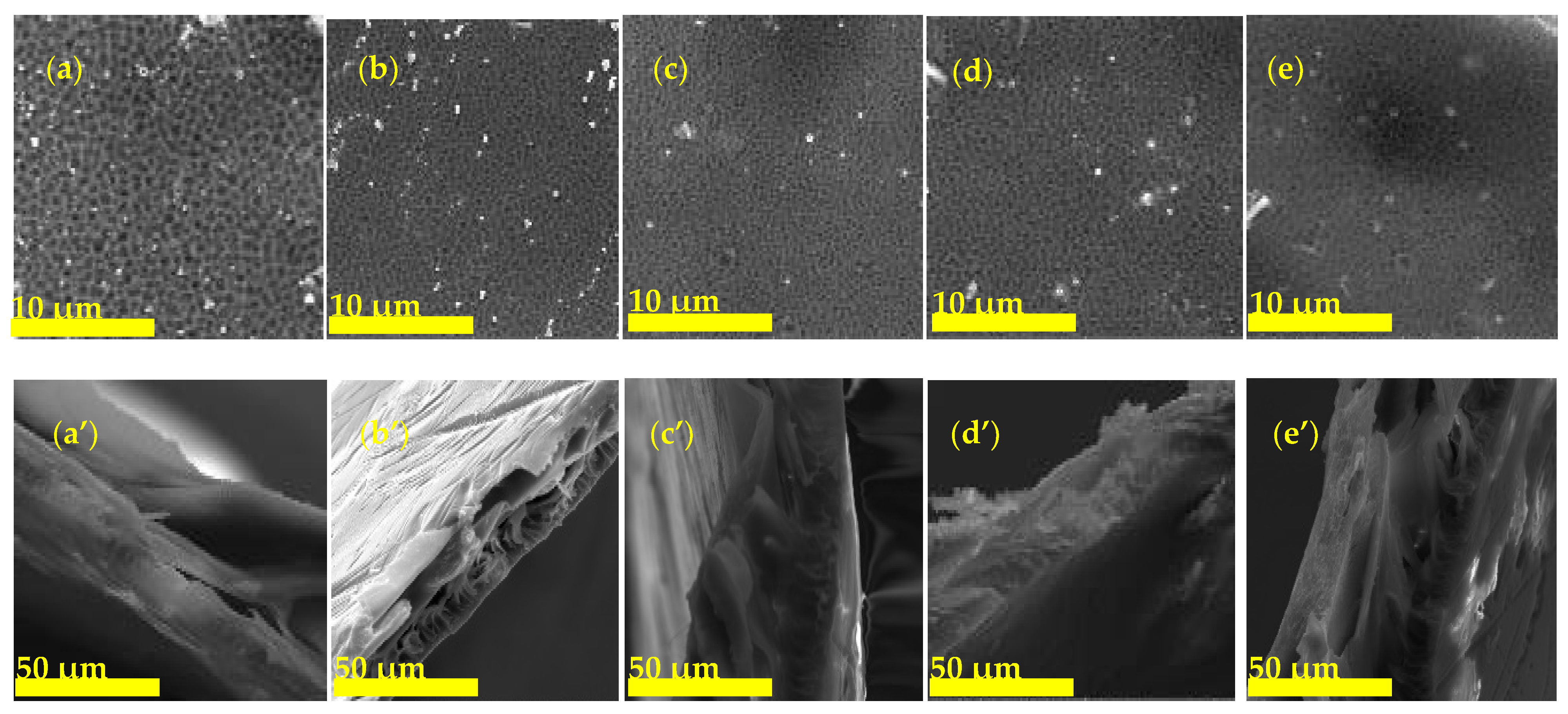 Polymers 12 01446 g005