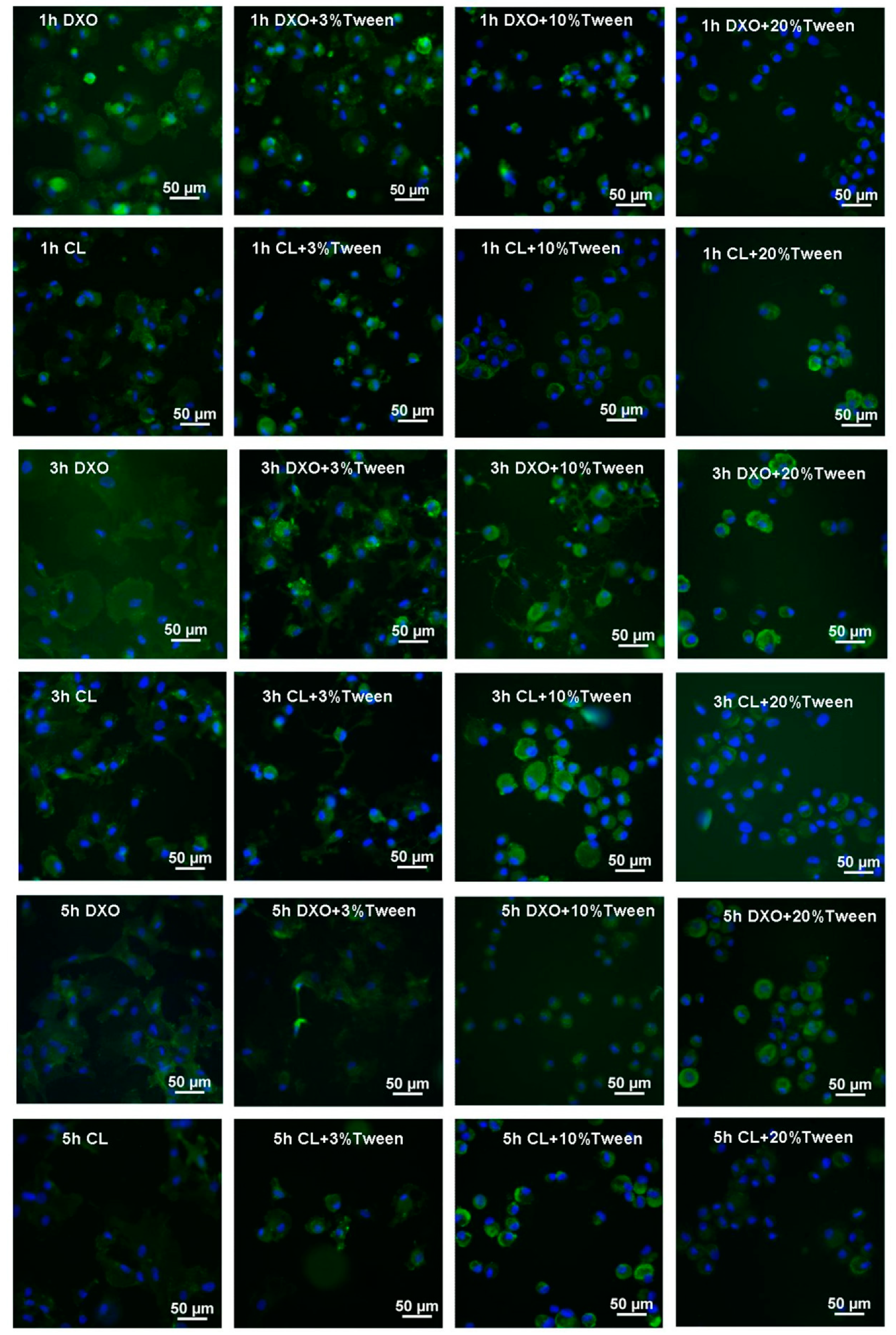 Polymers 12 01453 g004