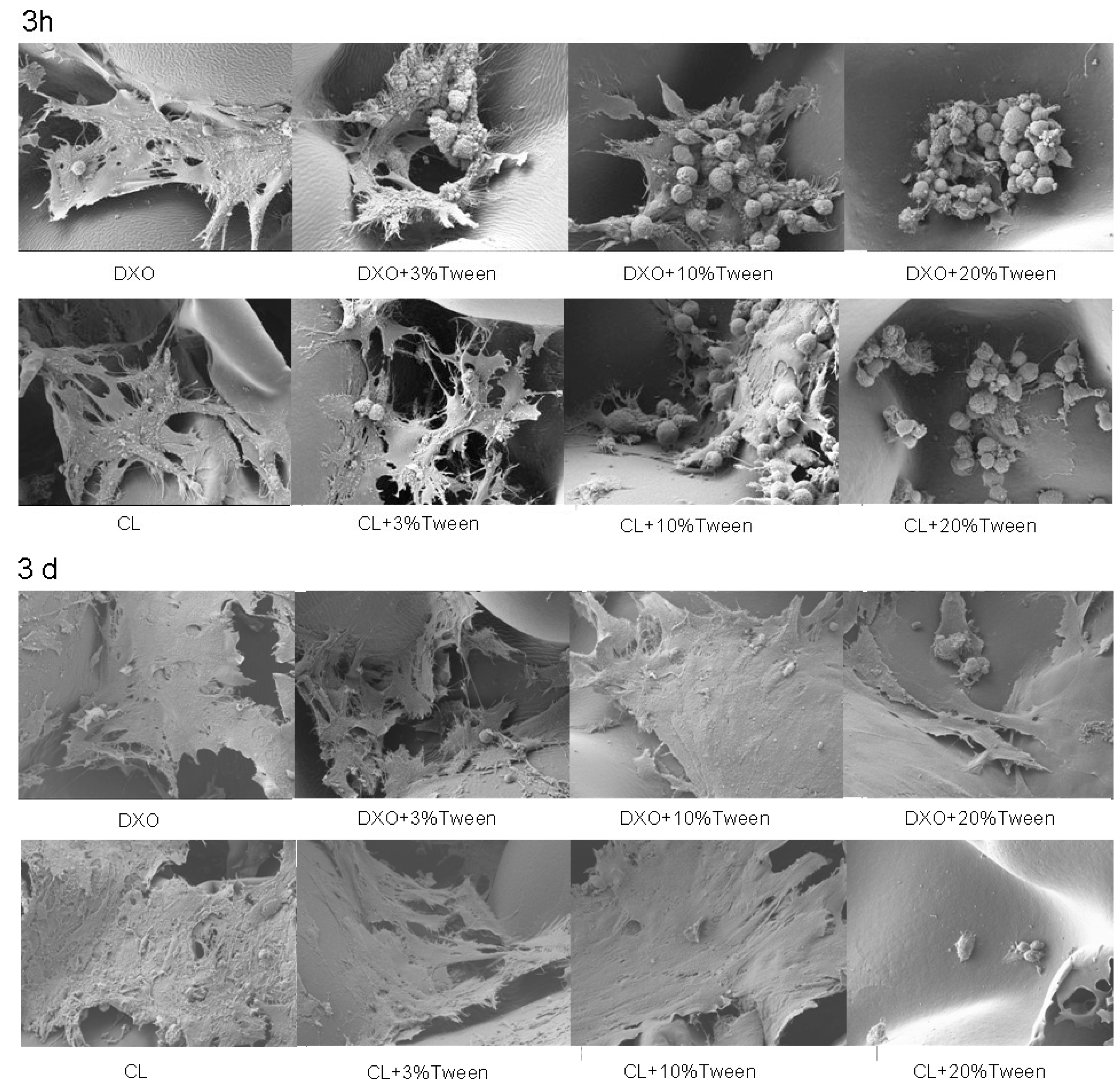 Polymers 12 01453 g005