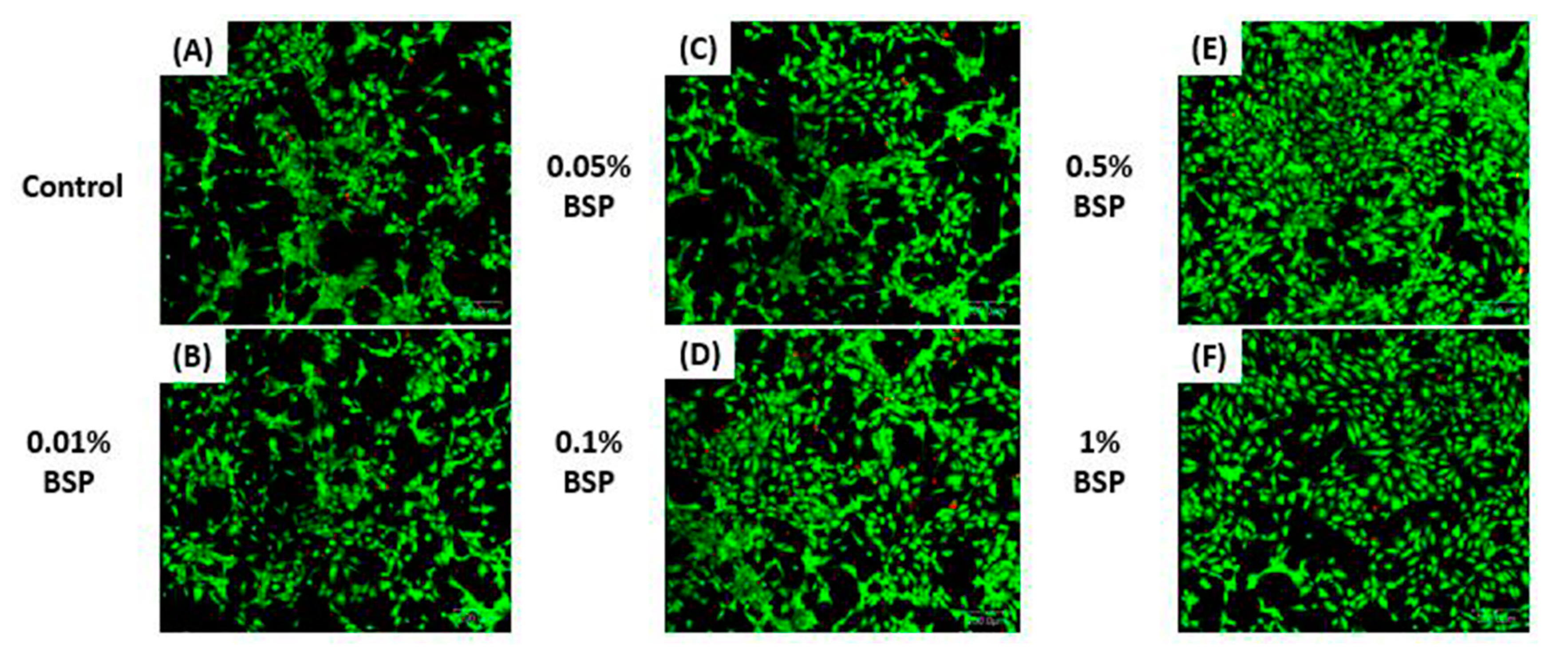 Polymers 12 01465 g004