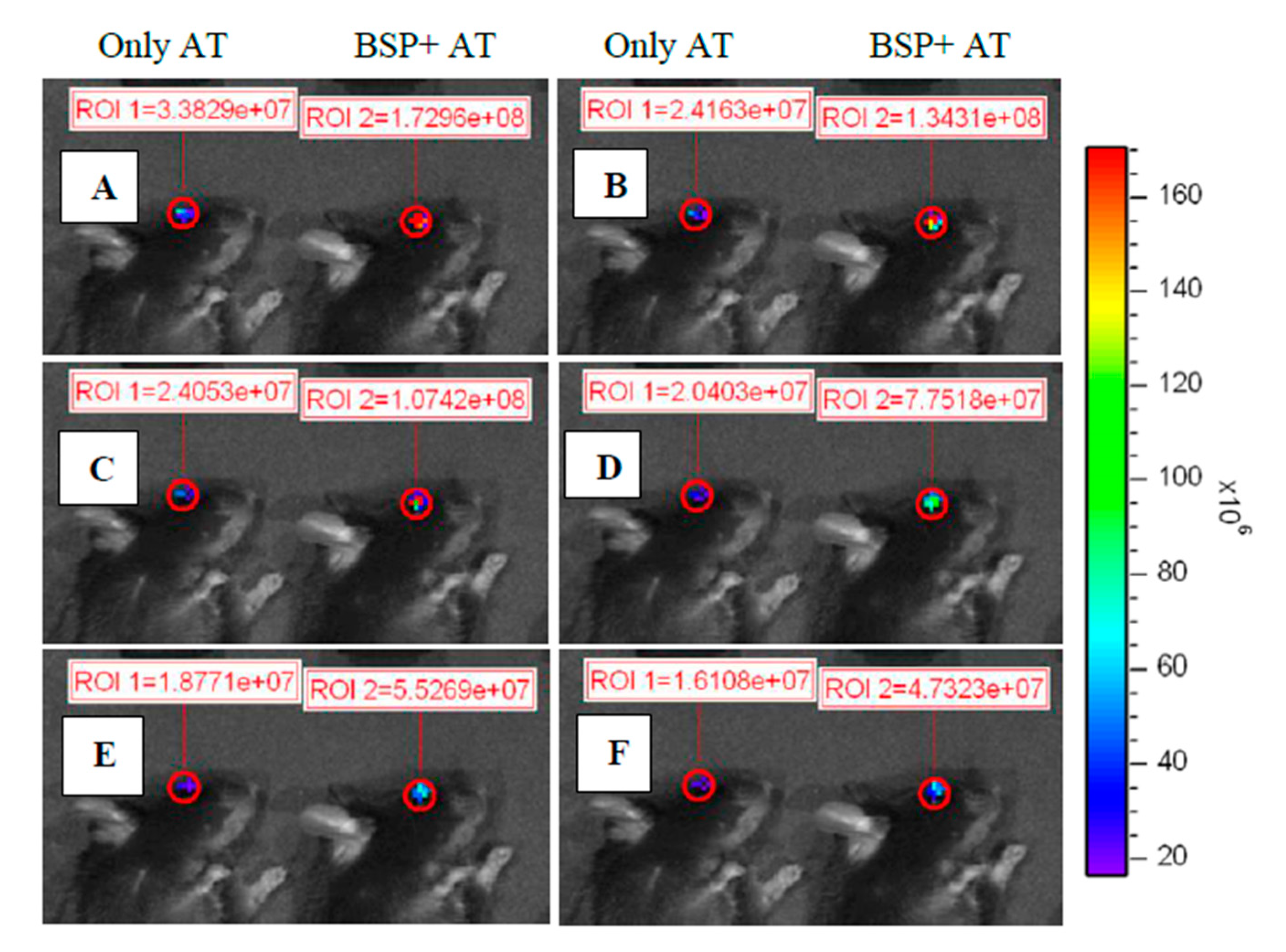 Polymers 12 01465 g007