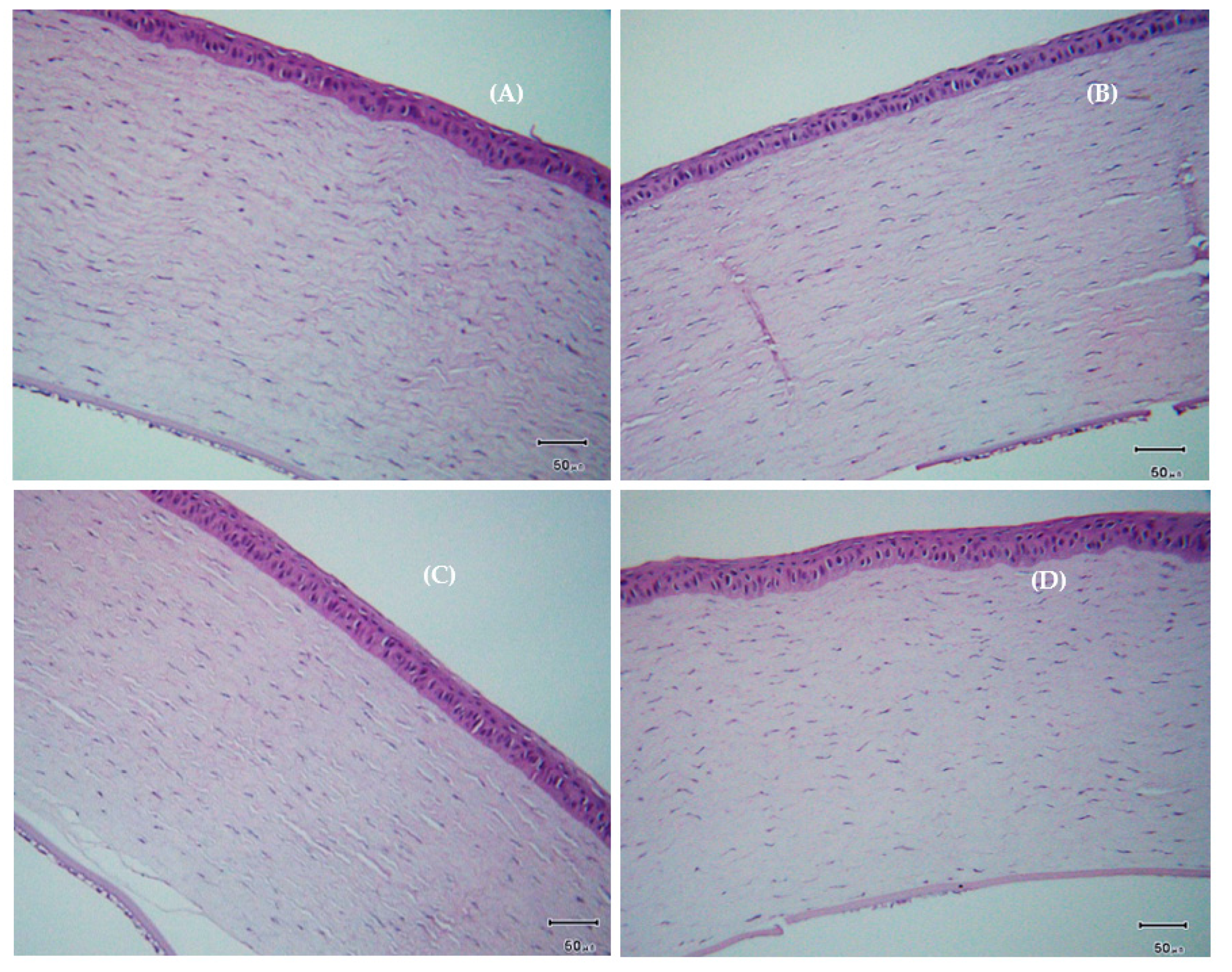 Polymers 12 01465 g011