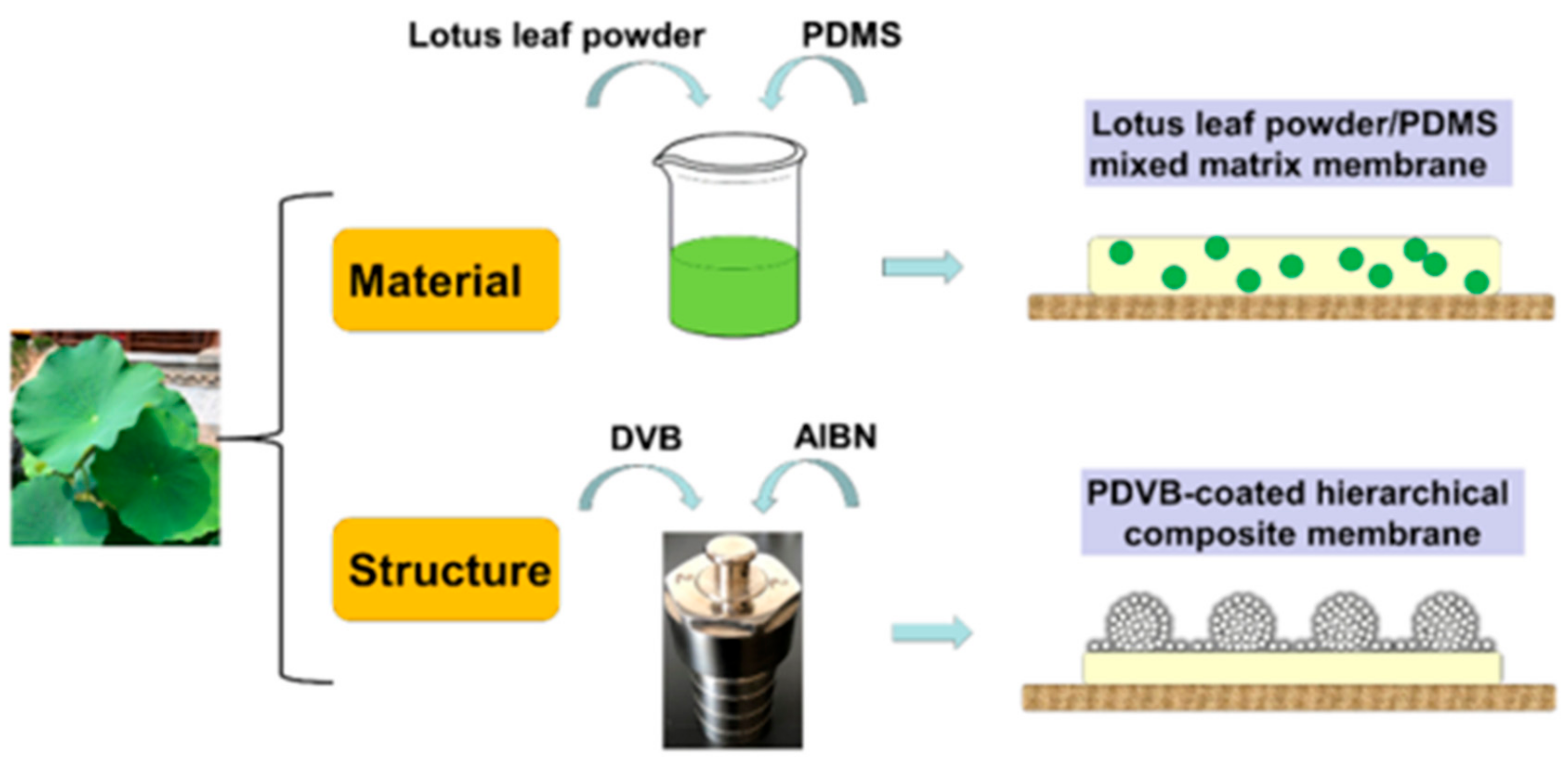 Polymers 12 01466 g001 Polymers 12 01466 g001