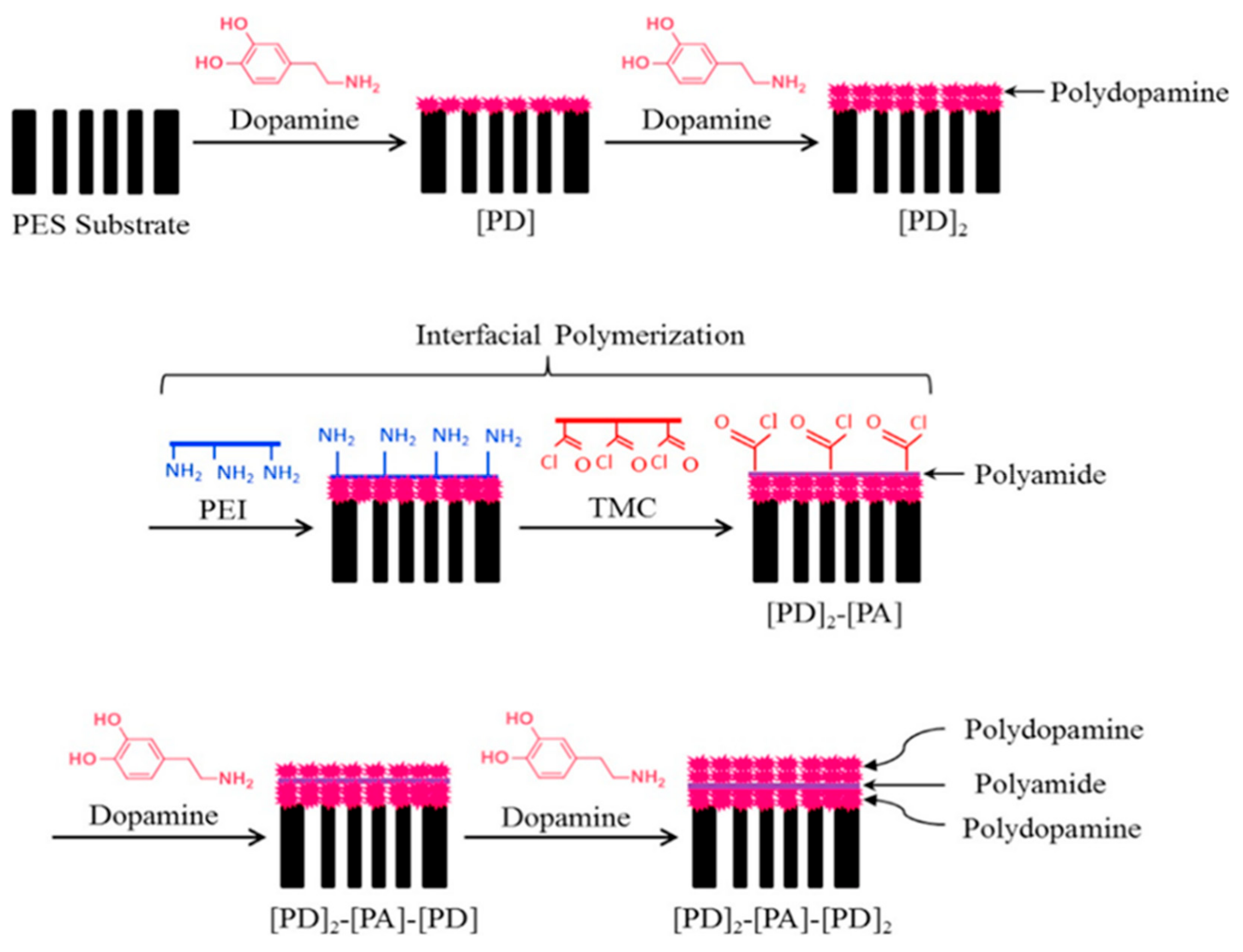 Polymers 12 01466 g004 Polymers 12 01466 g004