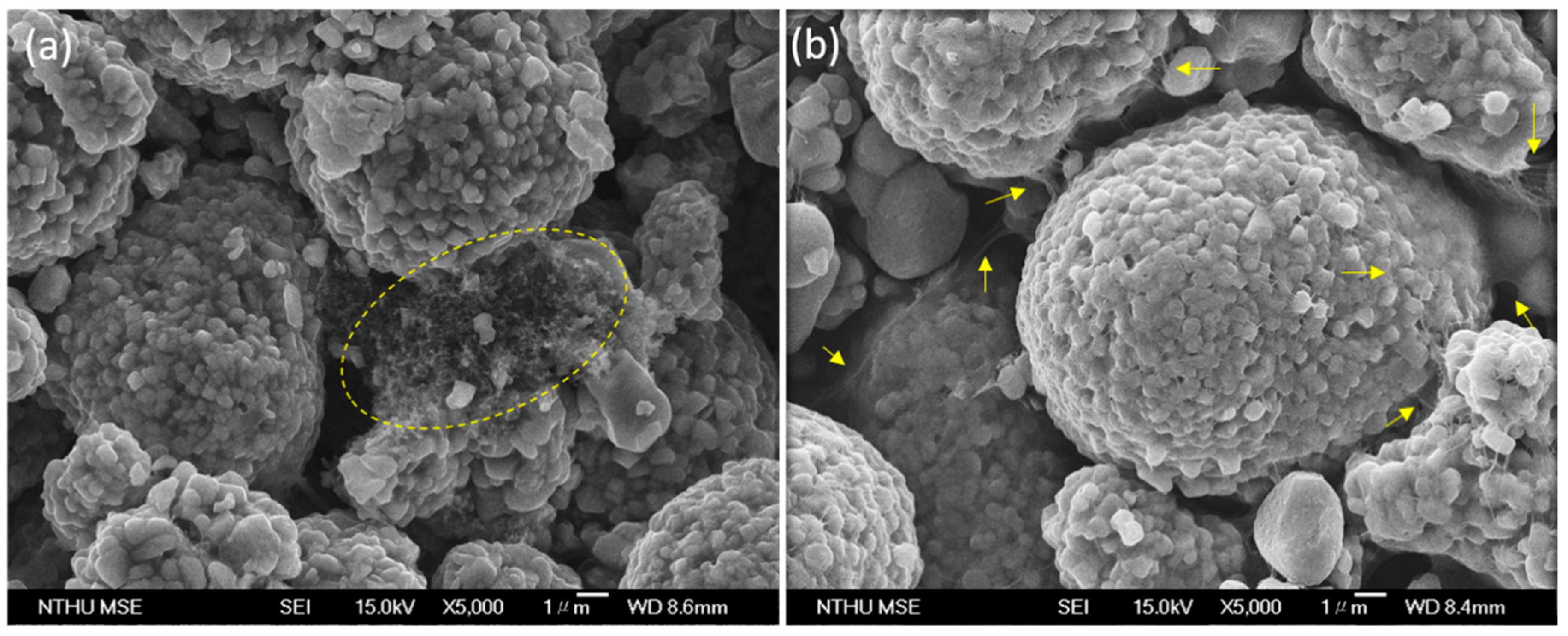 Polymers 12 01471 g004