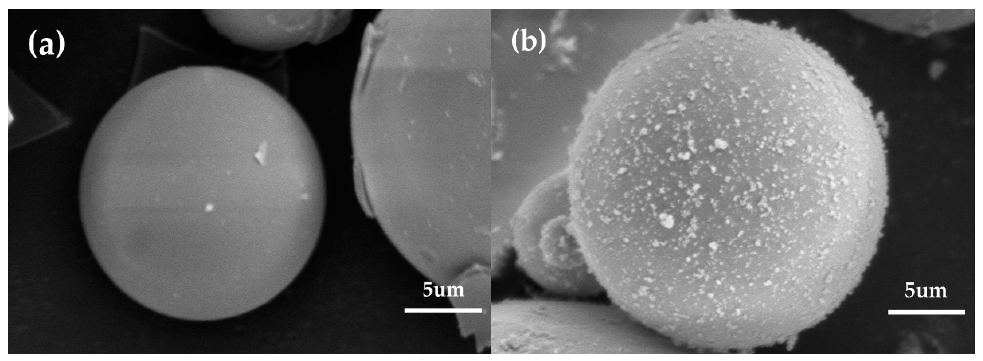 Polymers 12 01480 g005