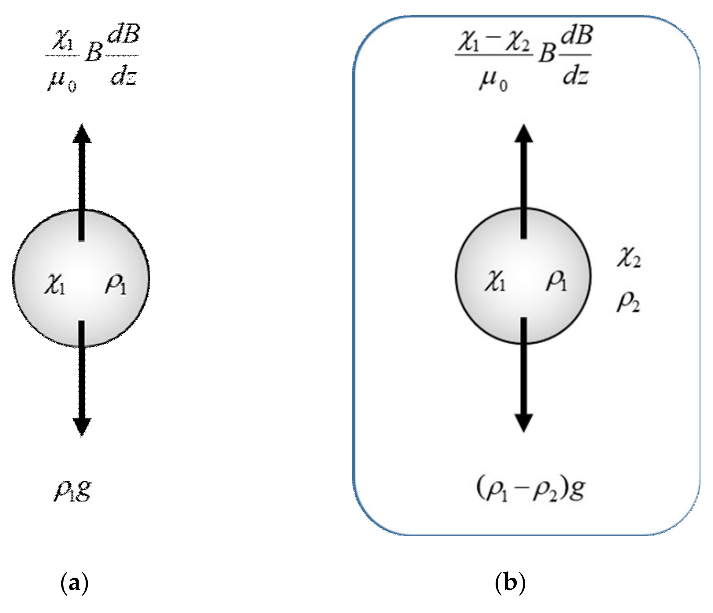 Polymers 12 01491 g002