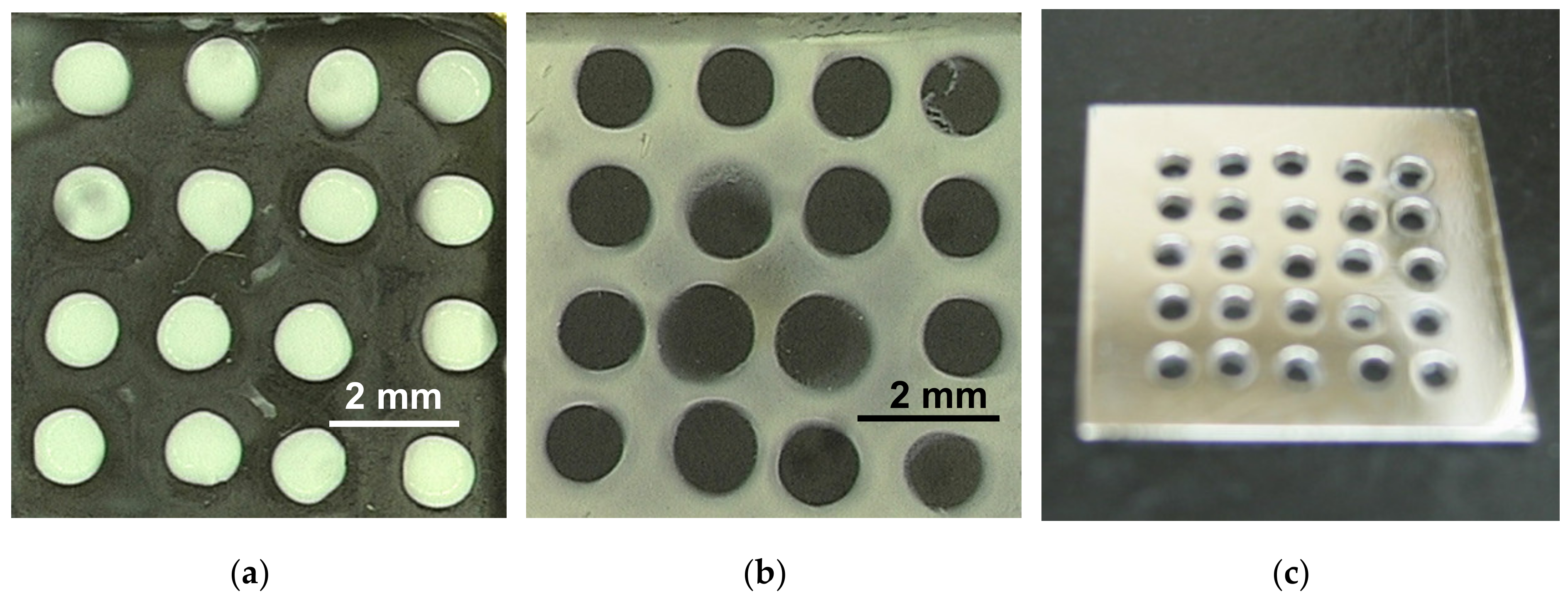 Polymers 12 01491 g004